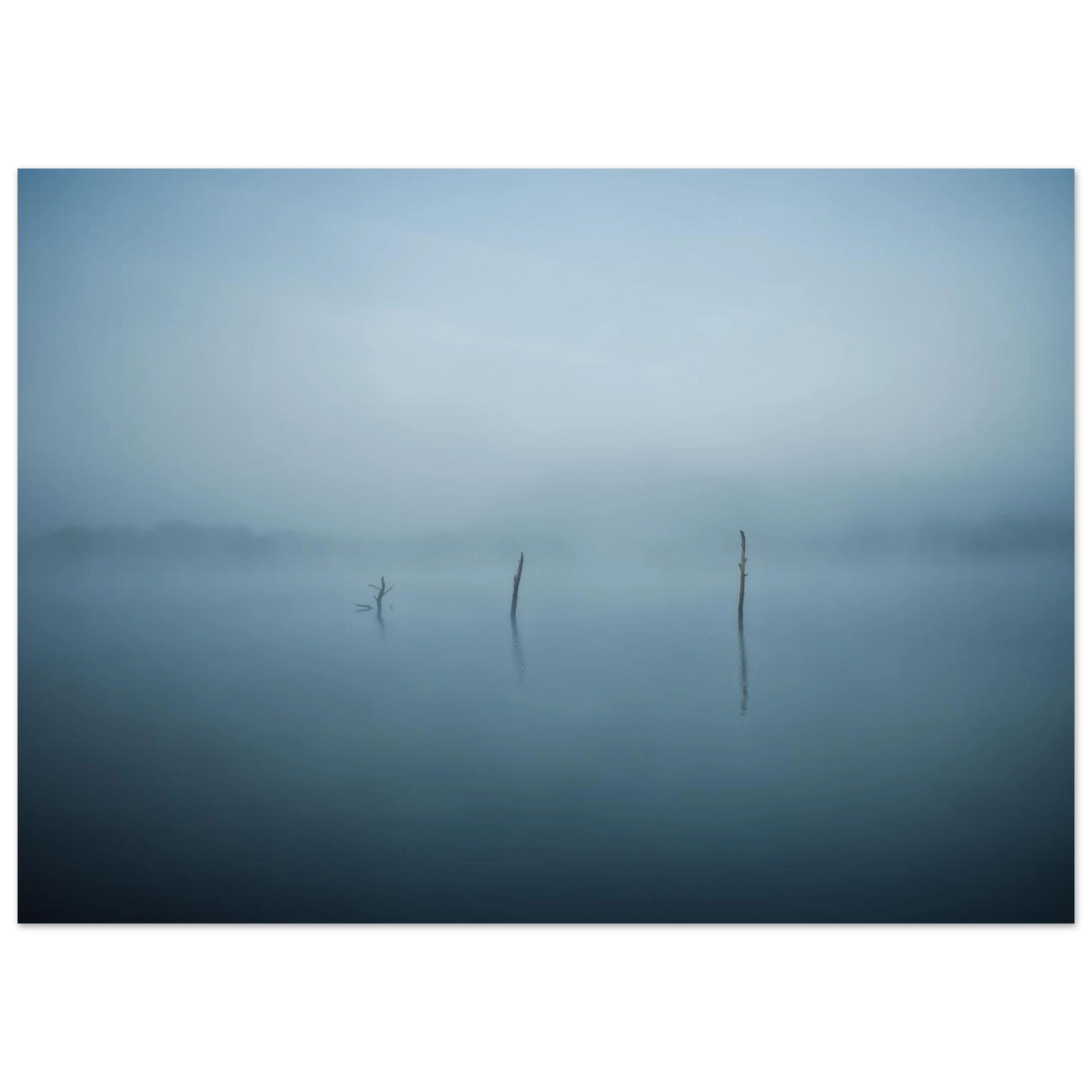 50e35452-e6f6-4cdd-a981-d83b47b4c777