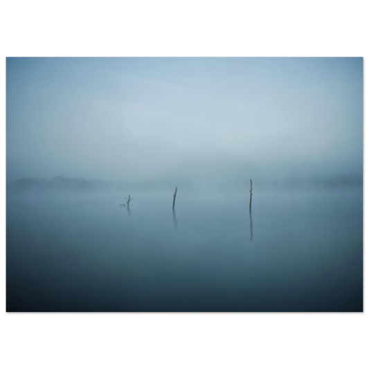 50e35452-e6f6-4cdd-a981-d83b47b4c777