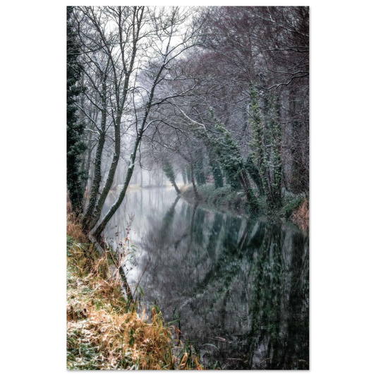 5136f742-bcf8-4ca4-b121-1f10f5b96bb8