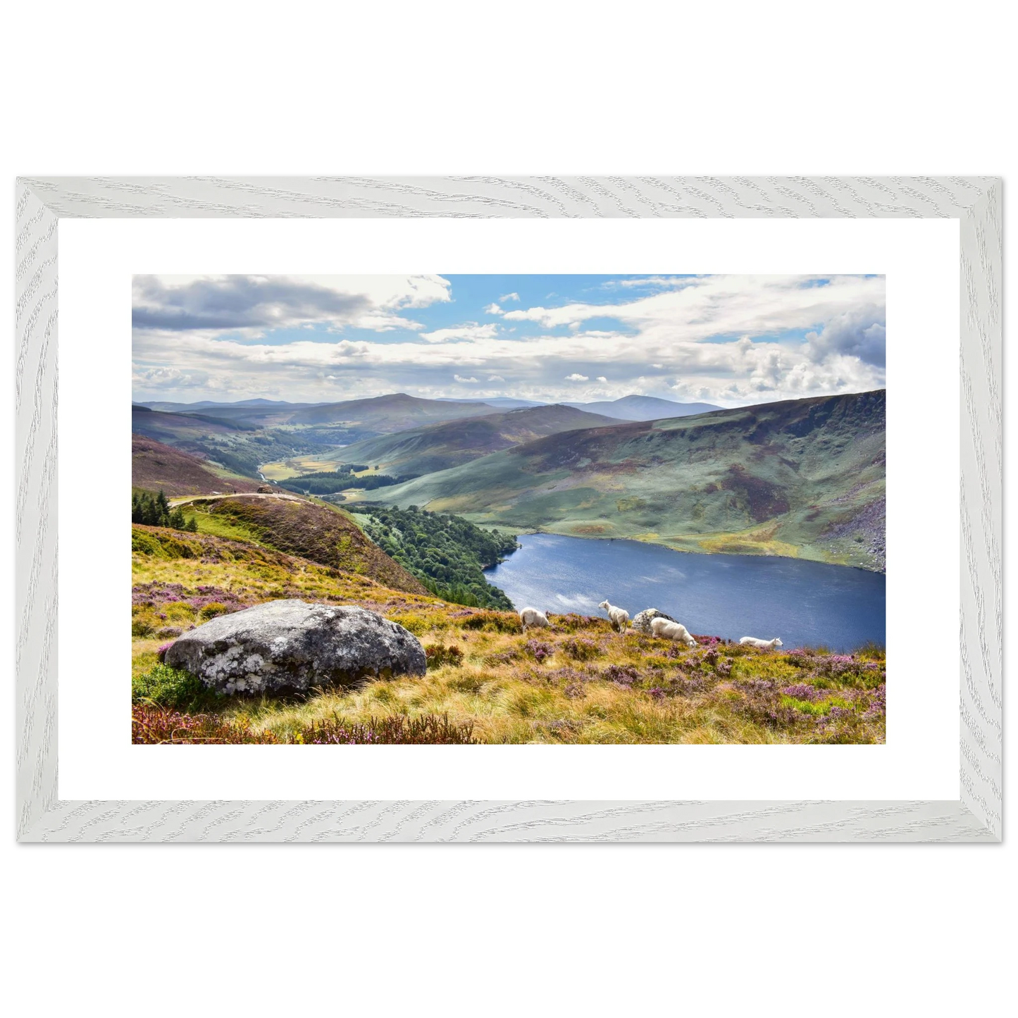 513fa2f9-9446-4674-a868-f5bbdec48654