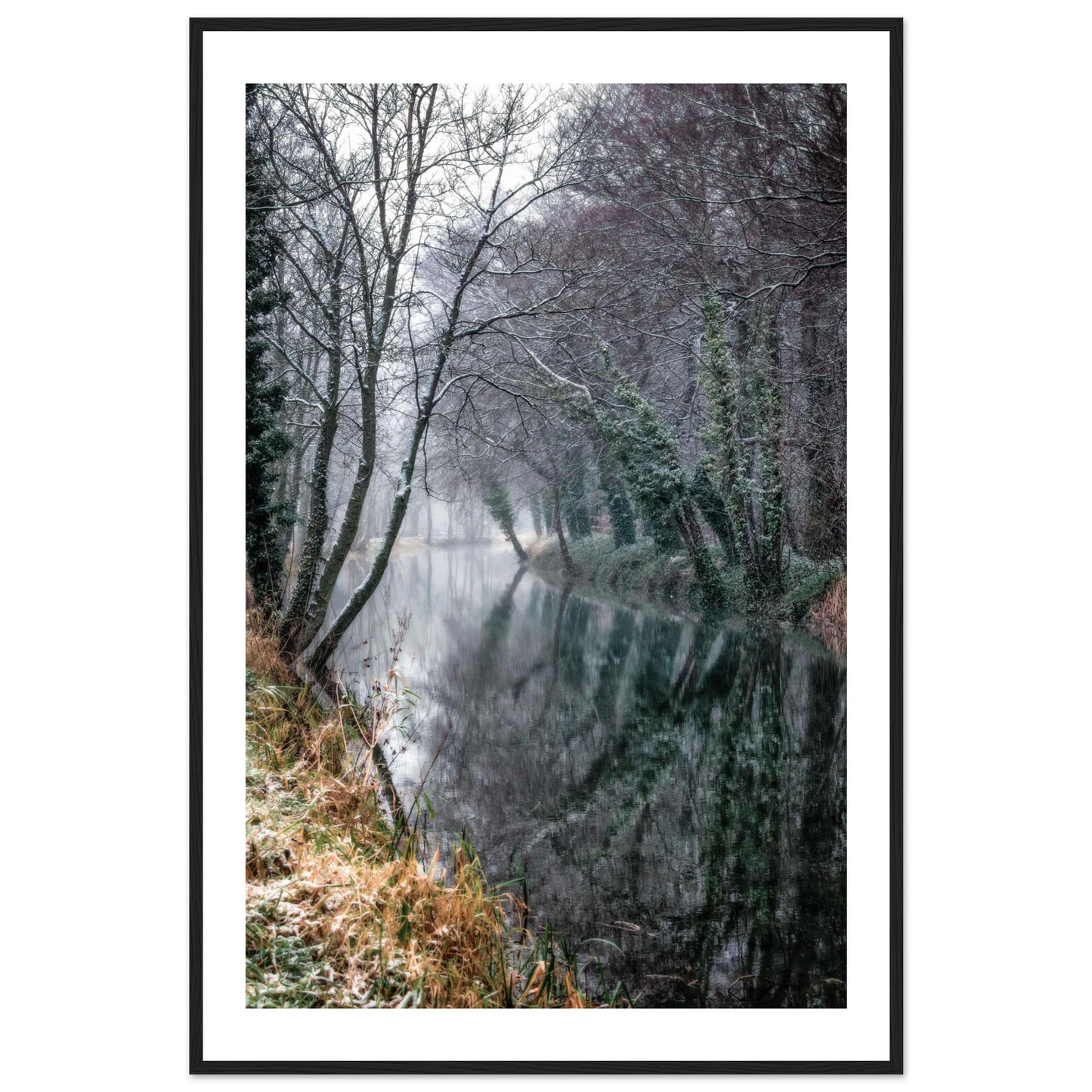 51bc510e-44fb-404d-860c-fde163737150