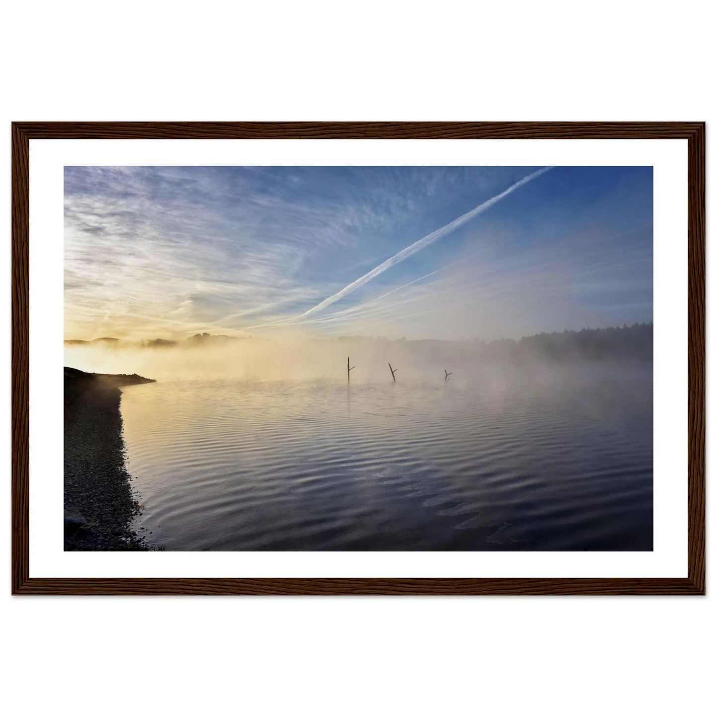 51e622d5-7d39-4bb8-9dc1-f95bb79cdc03