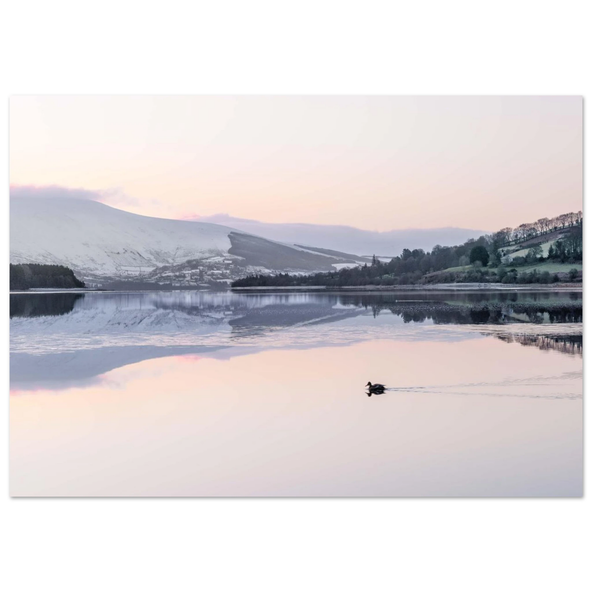 52092f45-775e-41ad-84ab-27352dd5ef8d