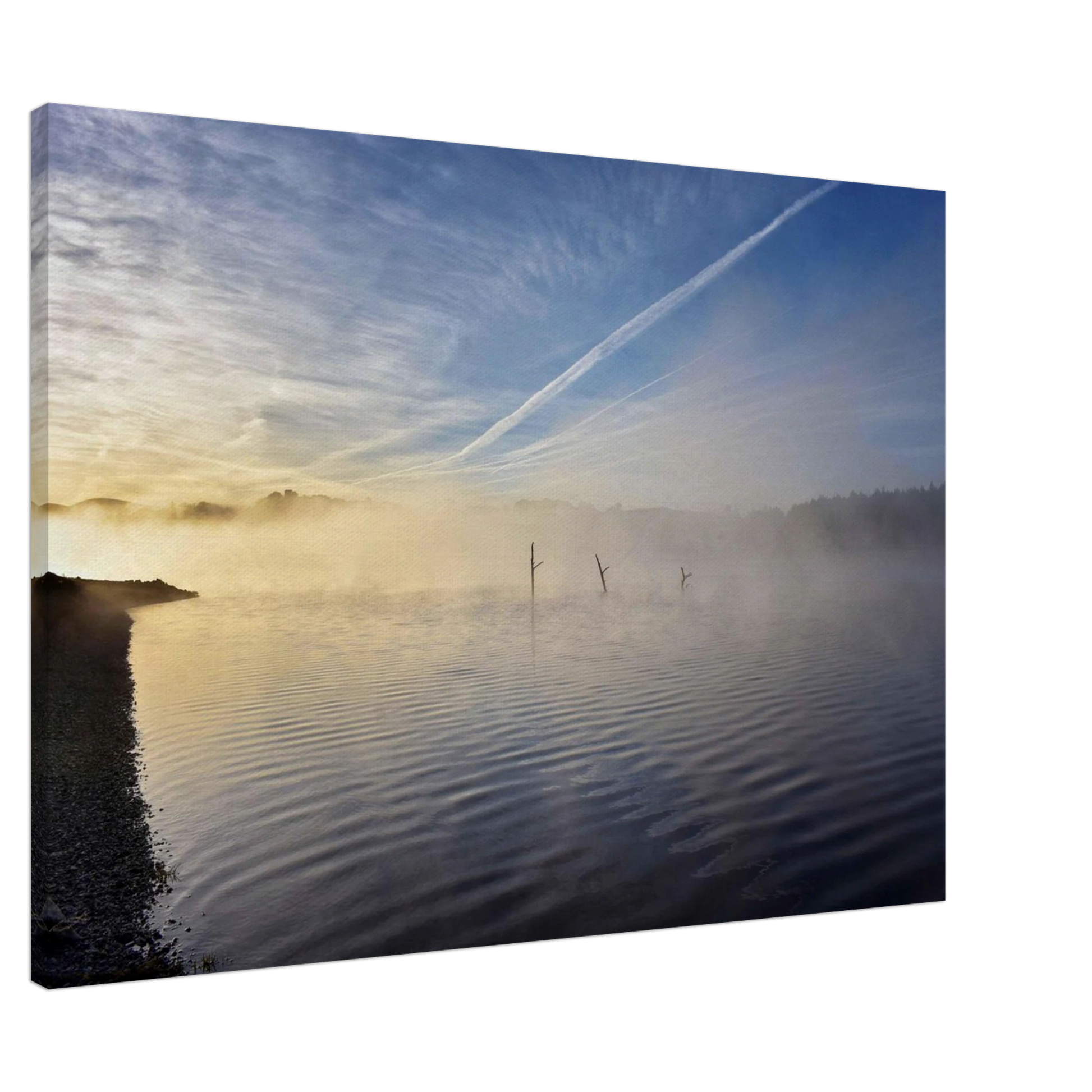 52510f58-9459-4a0b-a784-6330187f730d