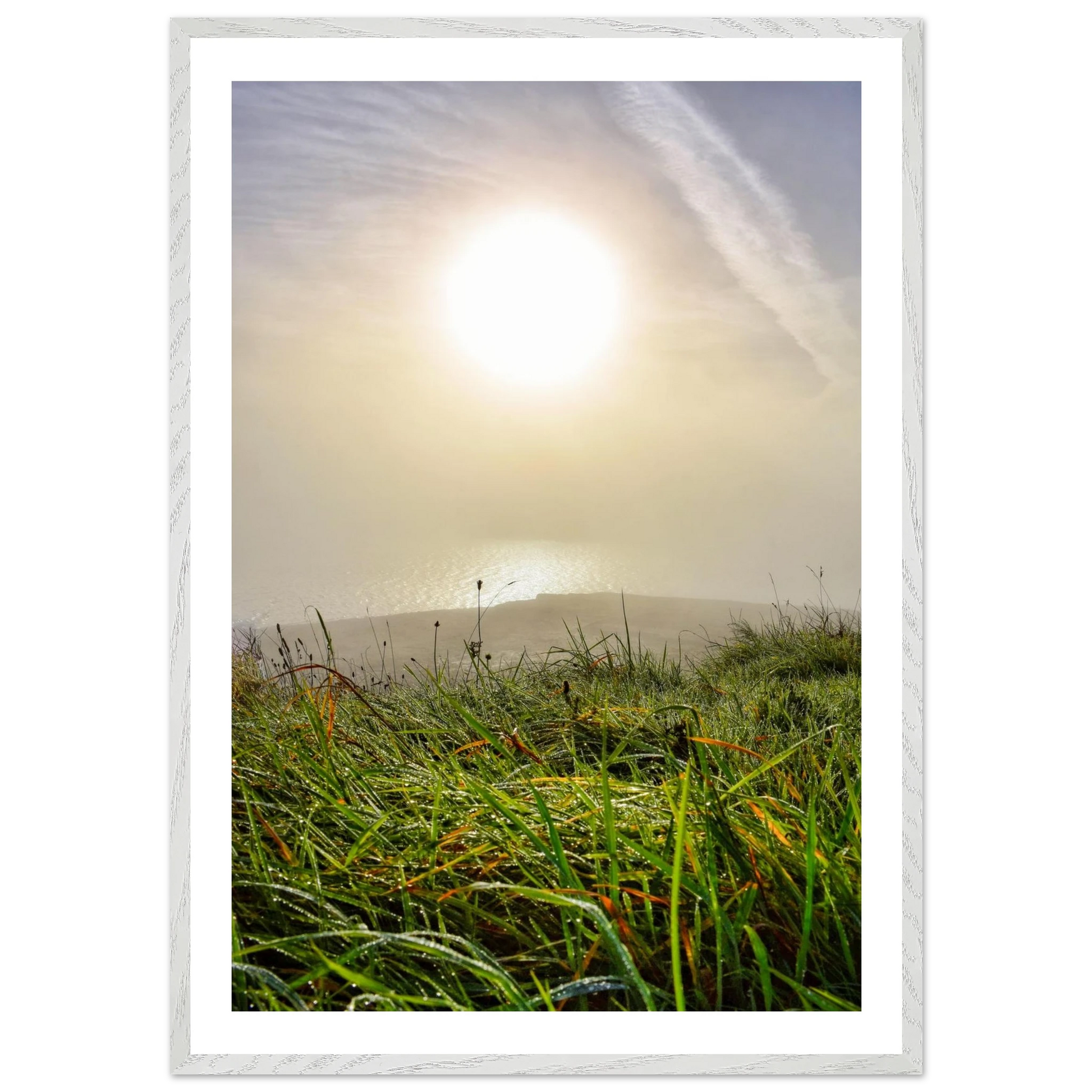 529e506c-4b95-4c32-b2e6-edbcec03db13