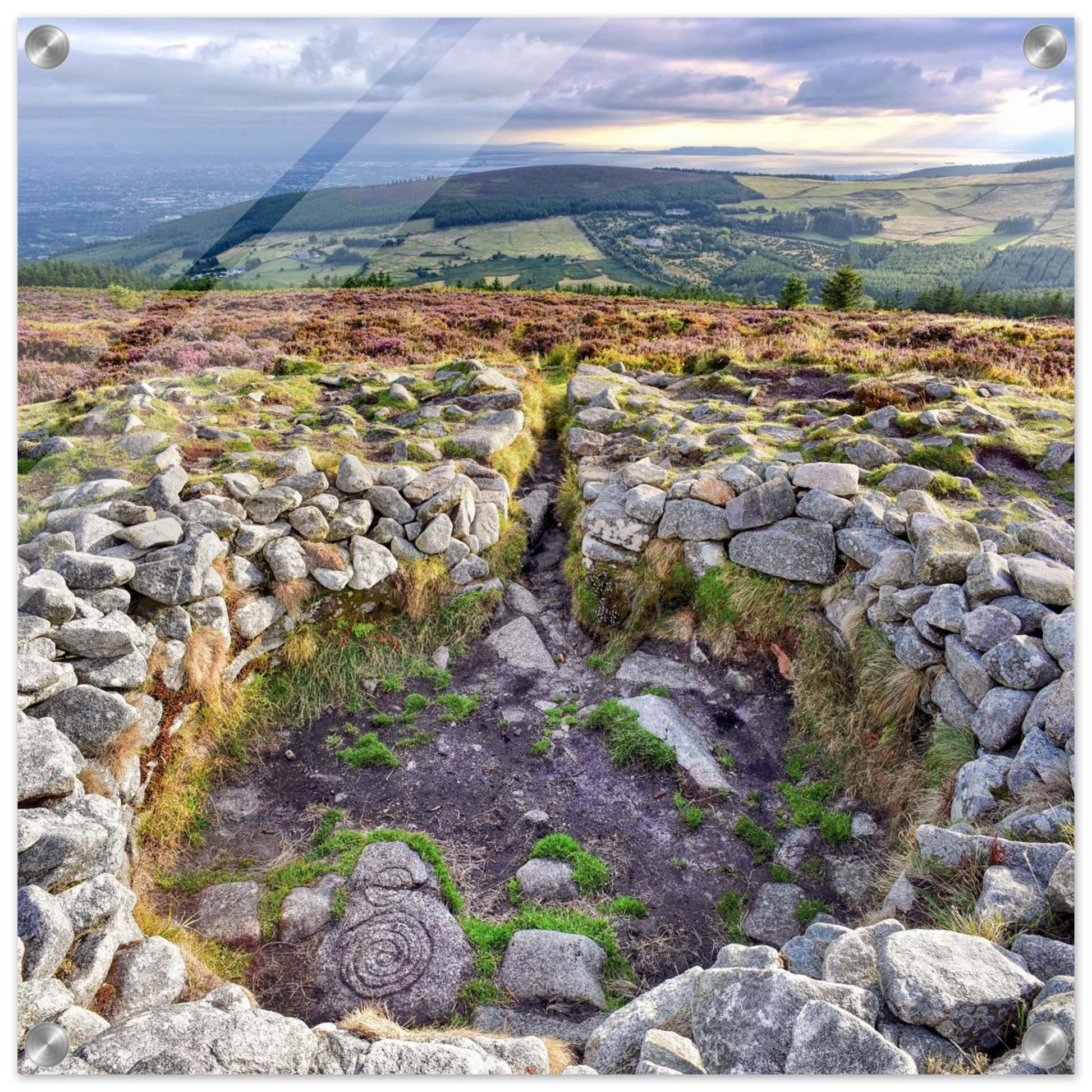 52b3227b-7bfb-4a5b-a445-397bf76ad80b