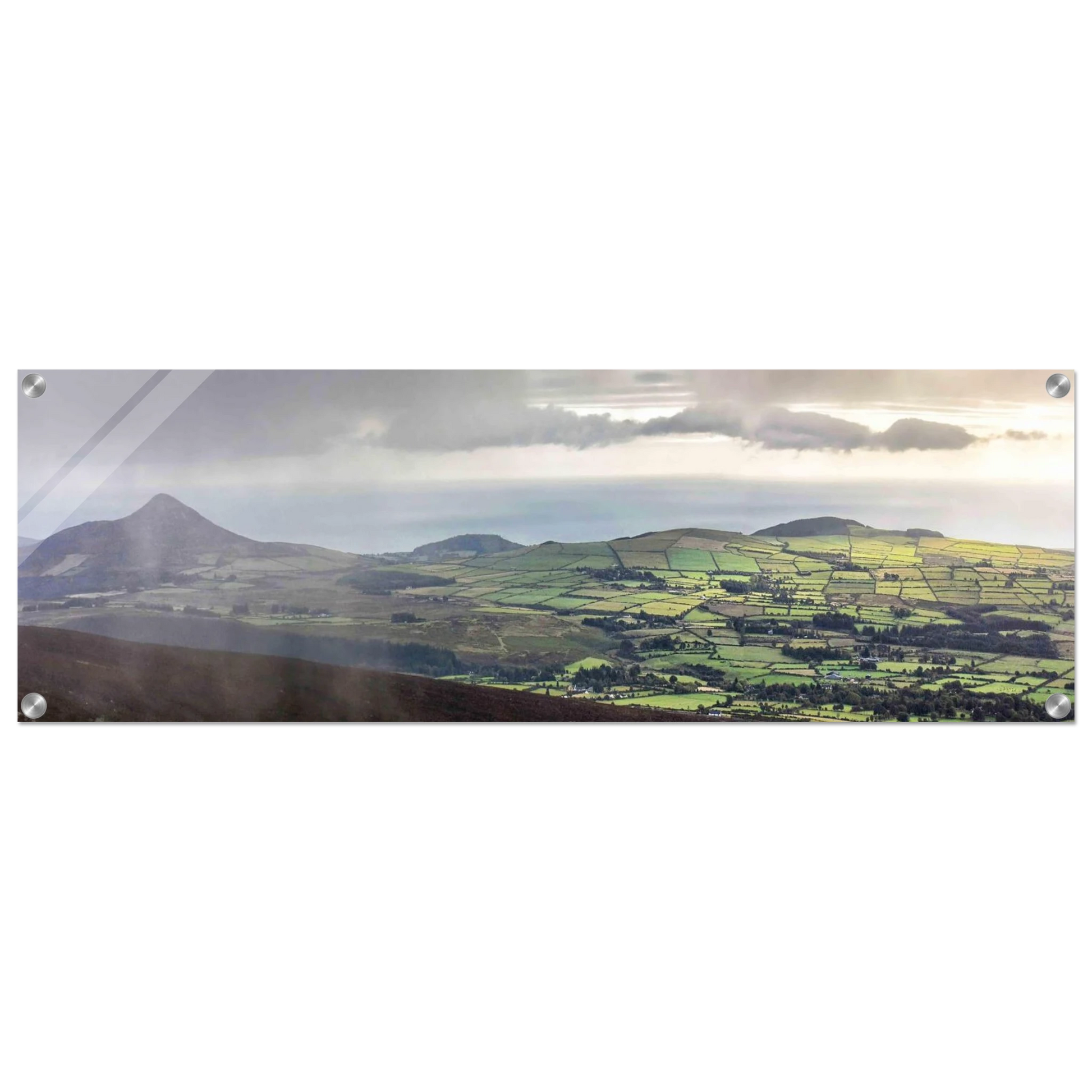 52e11bd7-cdd4-4dc6-895a-93d67ef1b71e