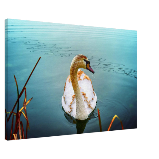 52e404c6-0e8f-4138-90bc-f047f437dc81