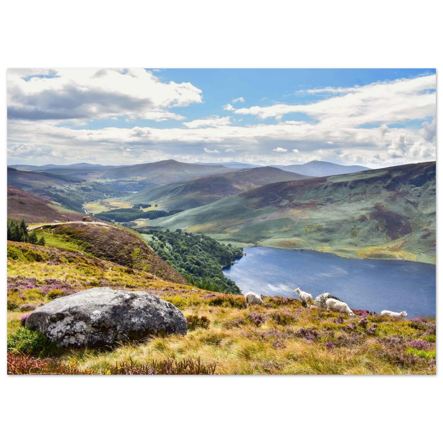 53142813-b65c-4094-9623-b7c469ca8dec