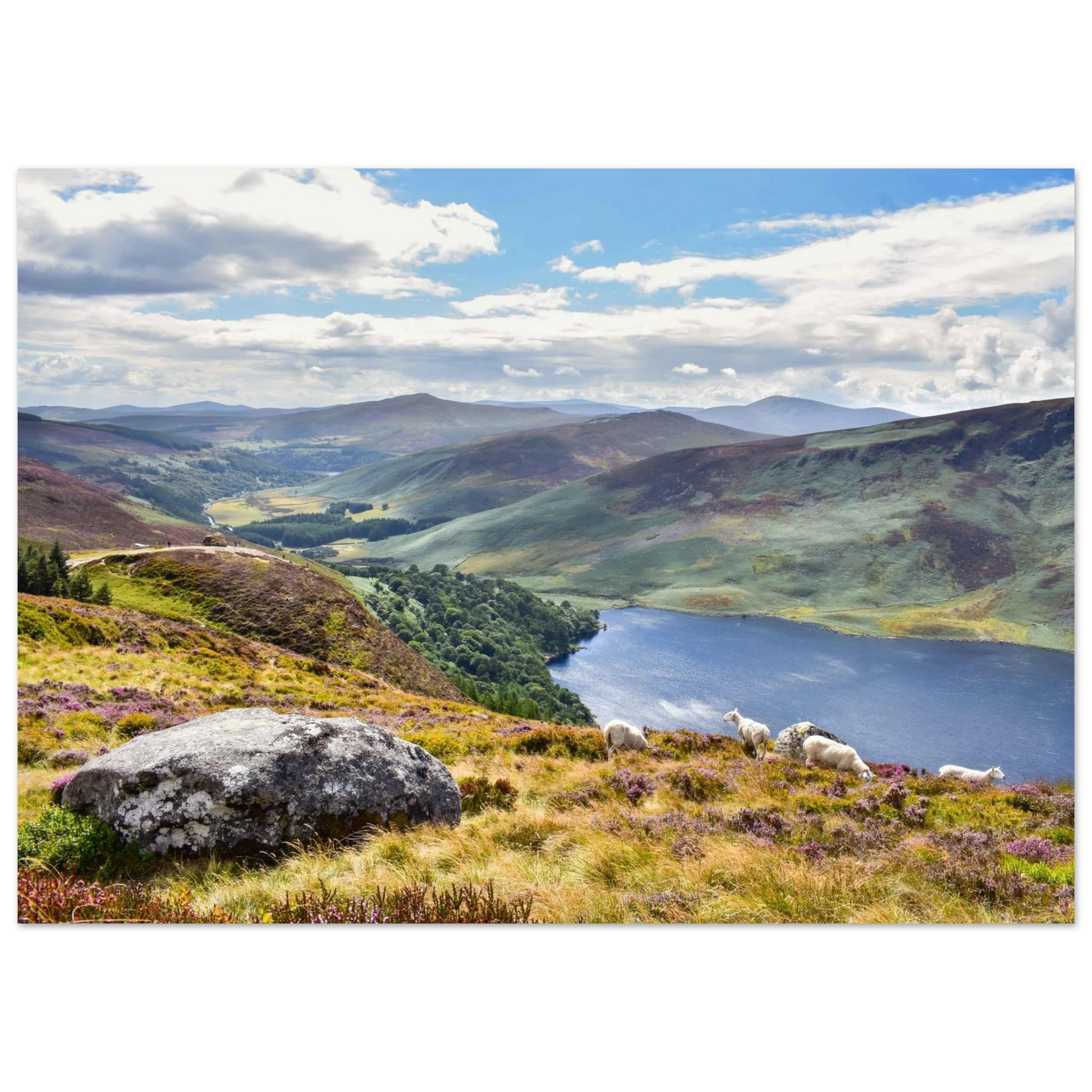 53142813-b65c-4094-9623-b7c469ca8dec