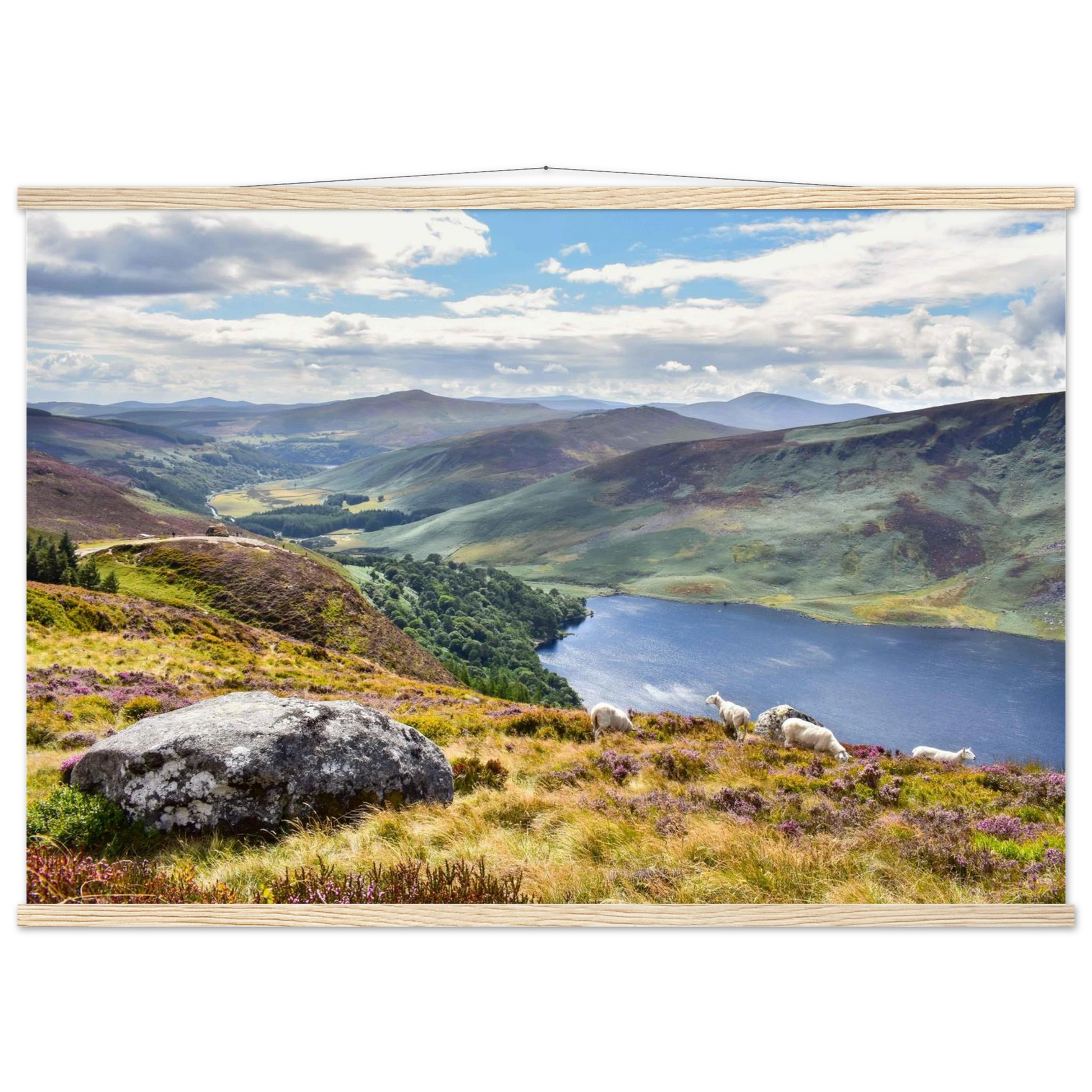 53b05669-16c8-46f0-979f-c678dd930c2f