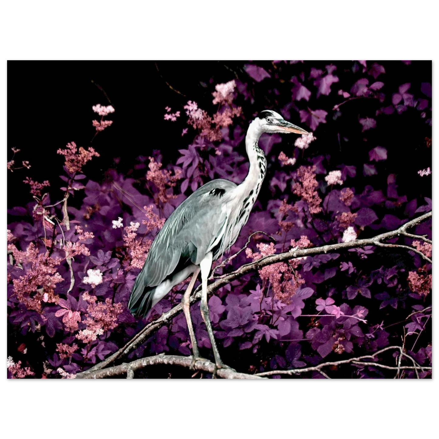 53bc19e1-cce8-4242-933a-34c23615311c