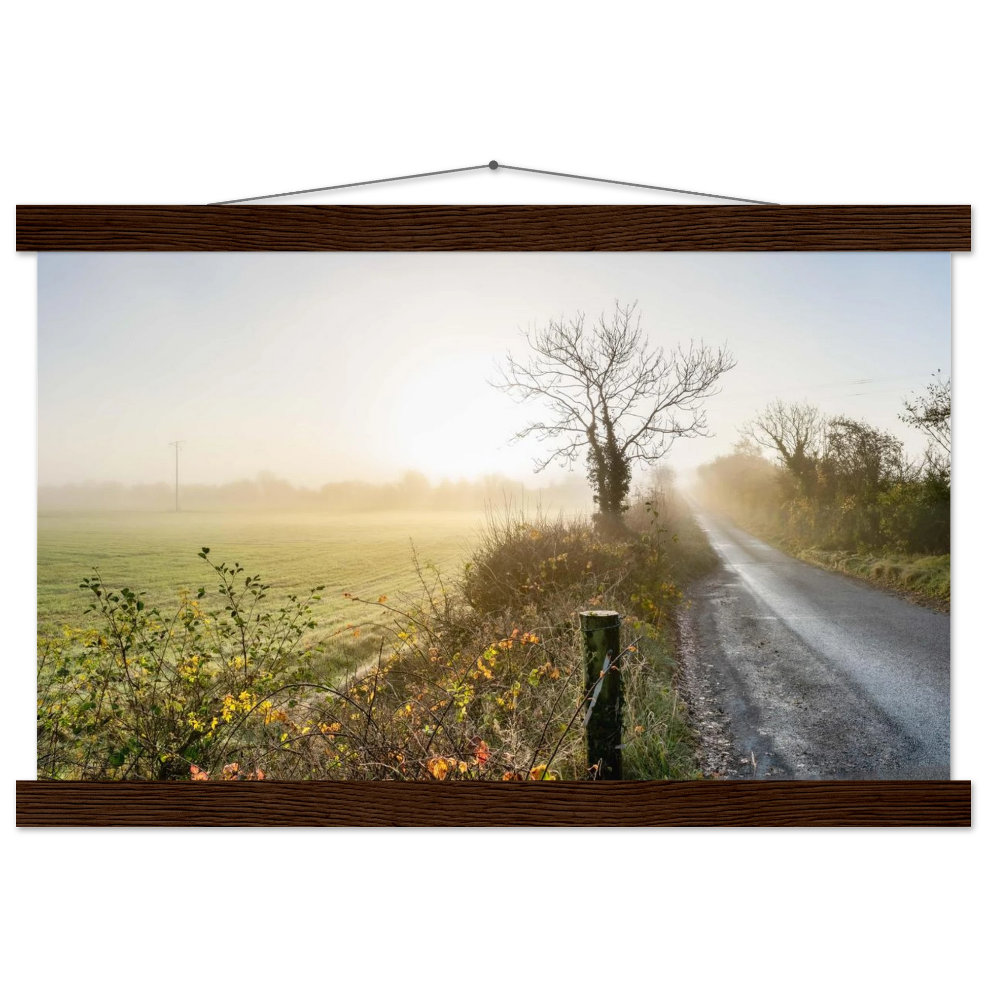 5403499f-1be0-4c4f-82ca-28c070fae4be