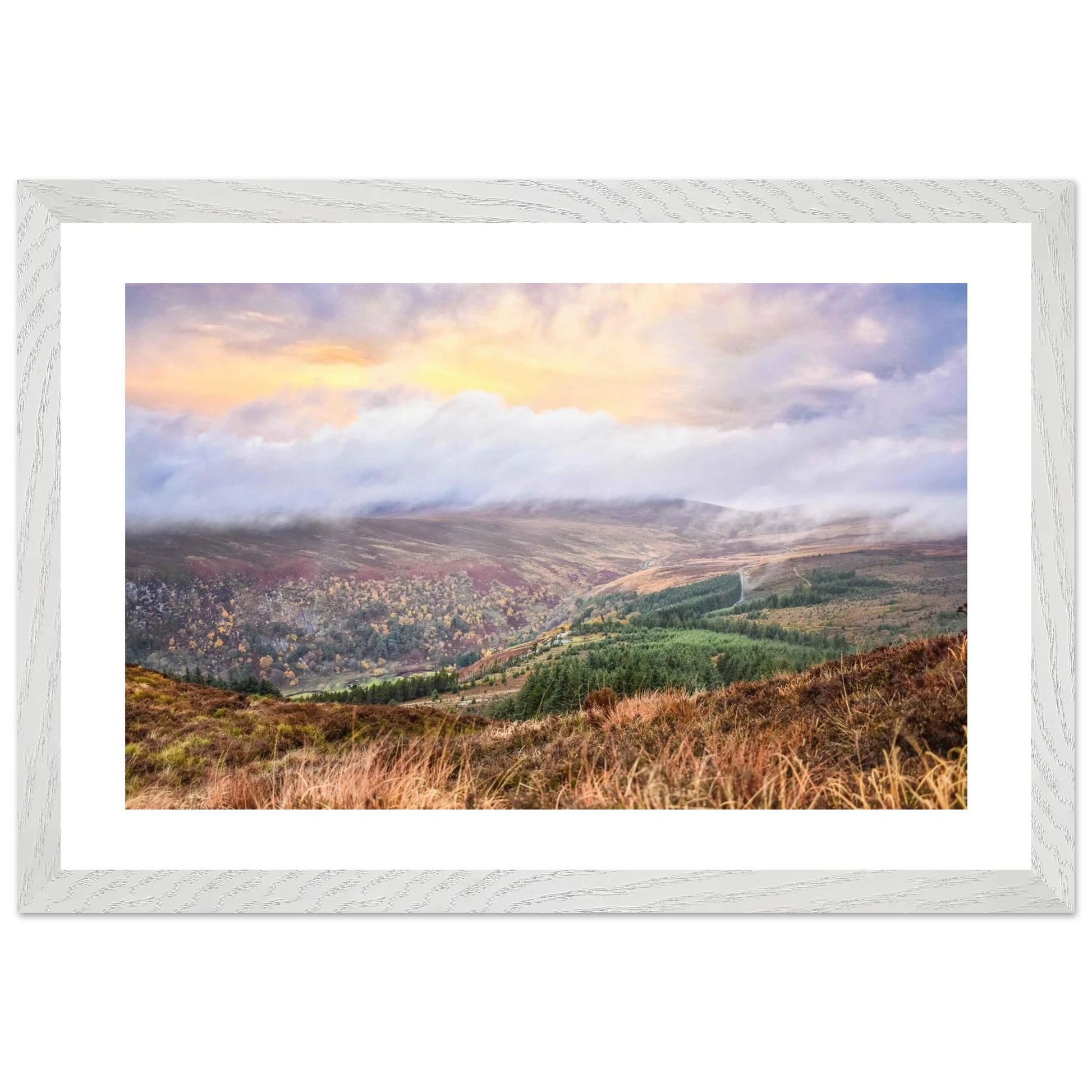 54616a68-8c3e-4098-a703-7b2c5cff990a