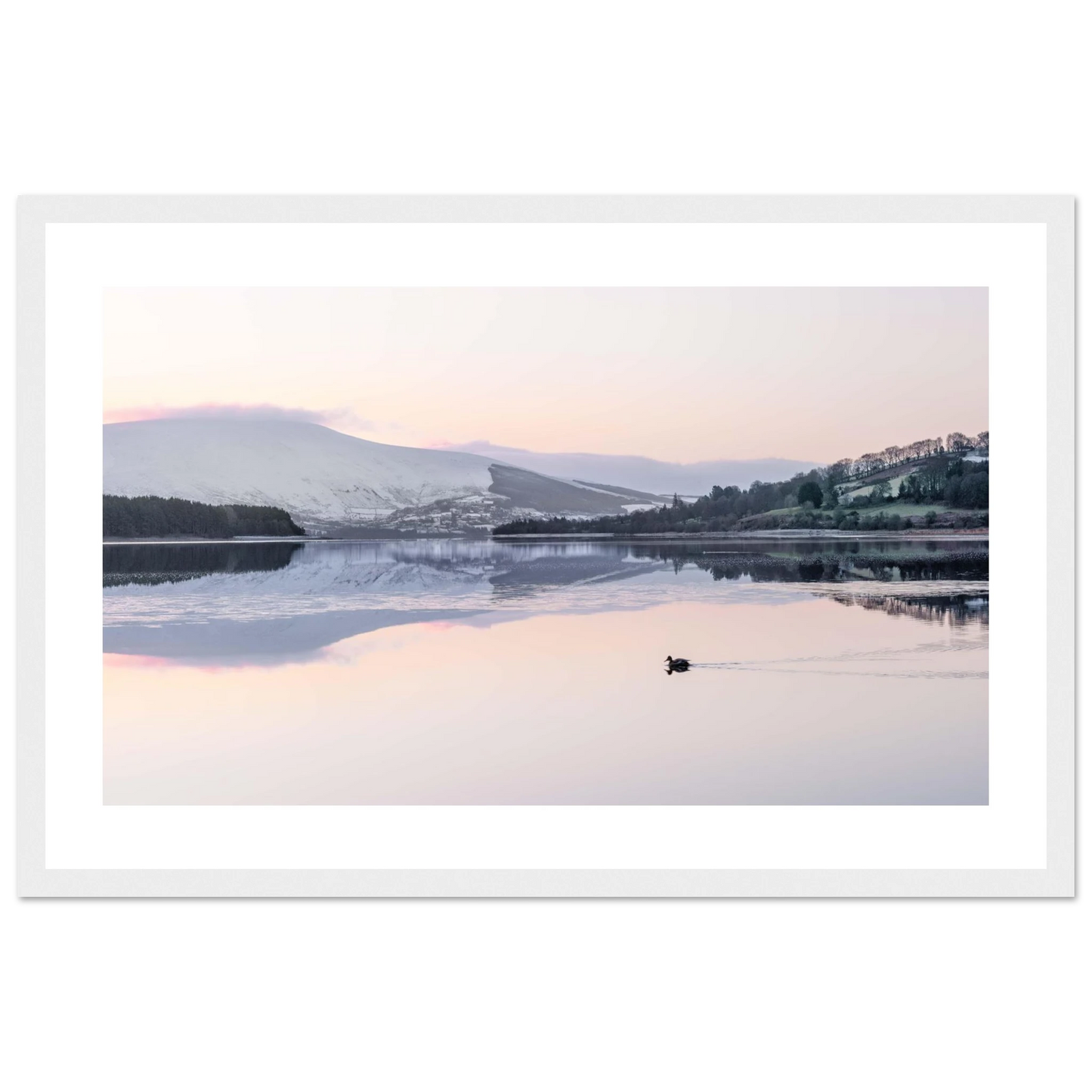 548d03a8-c860-4c4d-b0fa-5db031565f87