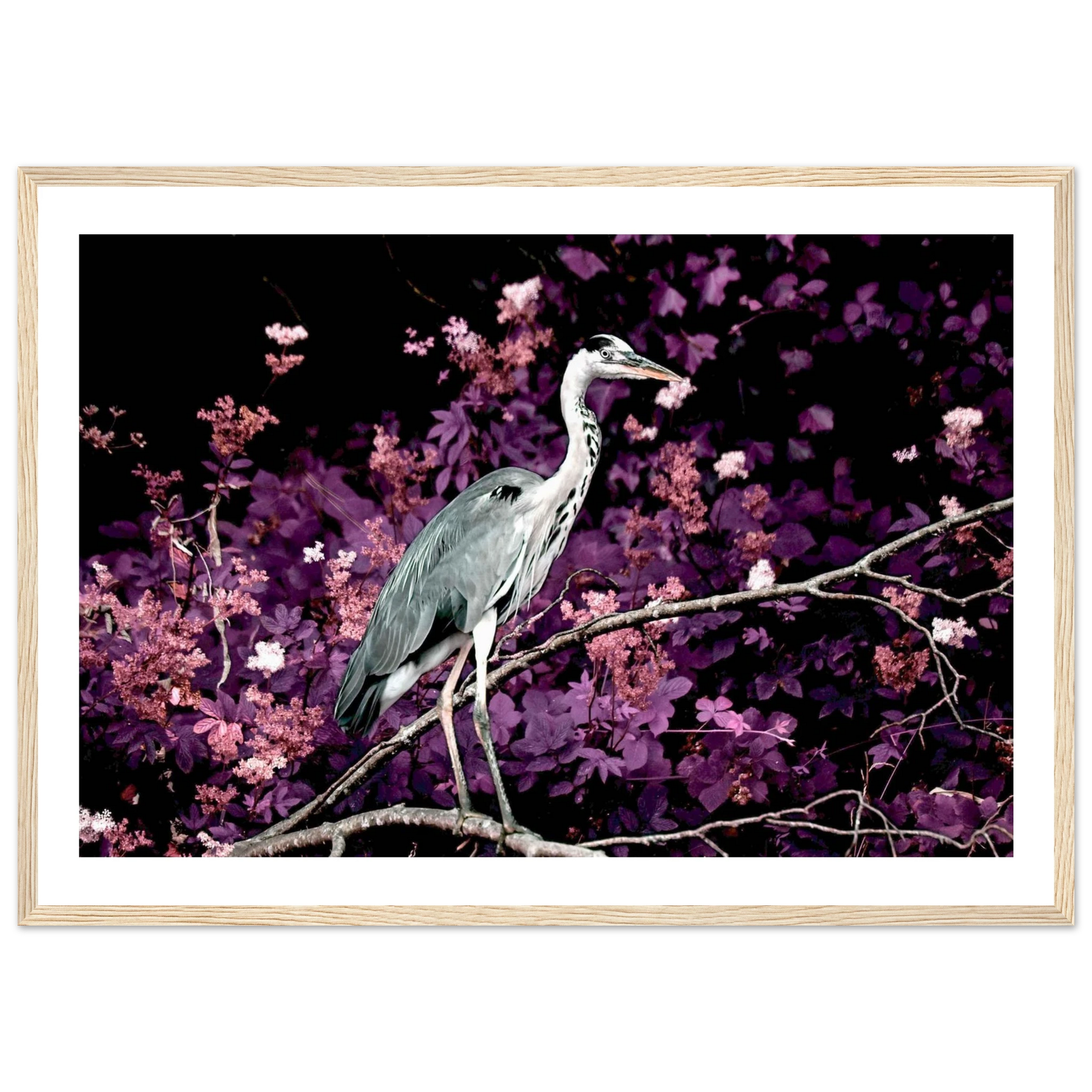 549fa4db-5f51-44f5-9b32-18f5f0dd26fe