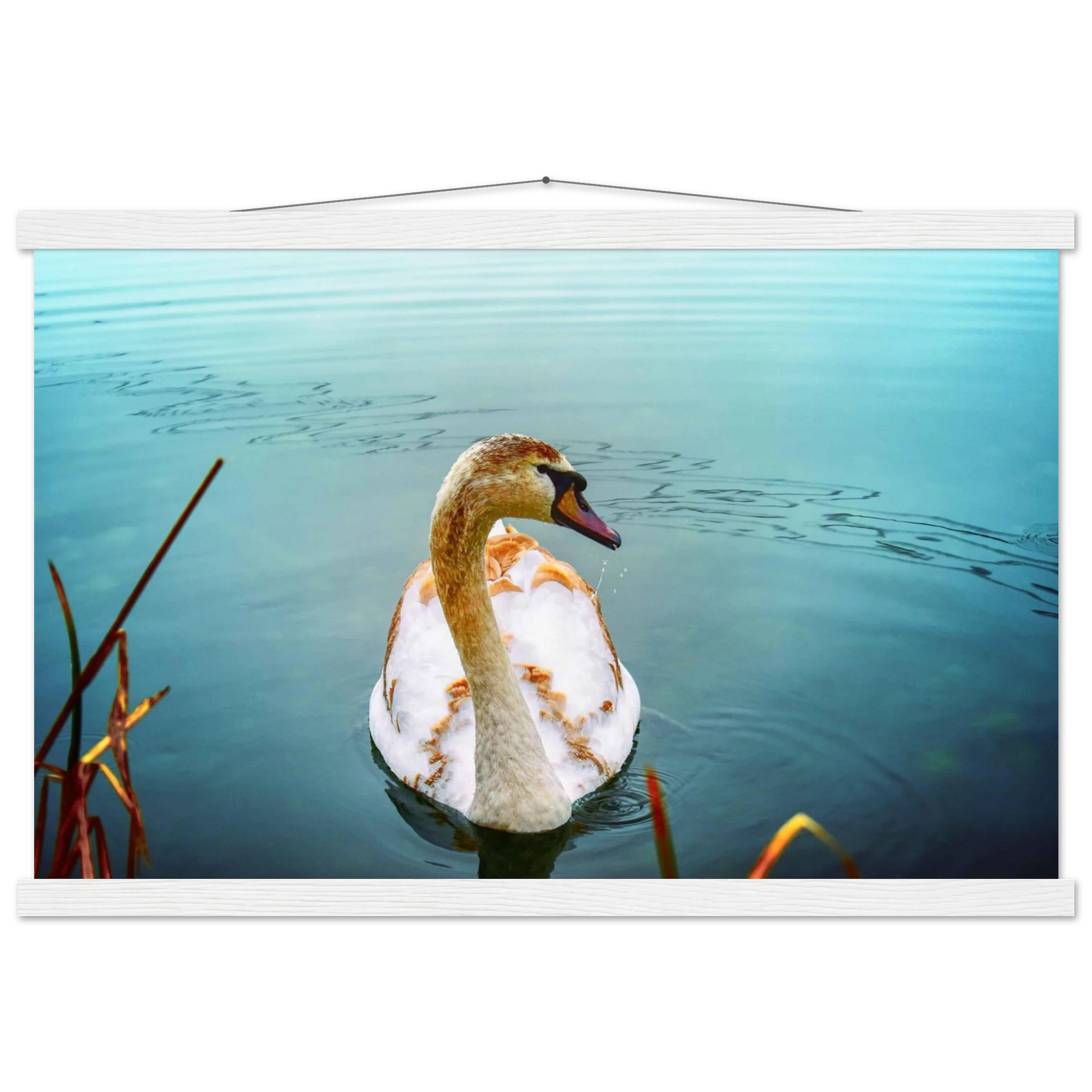 549fd66f-385f-4778-bd4e-afc78878771c