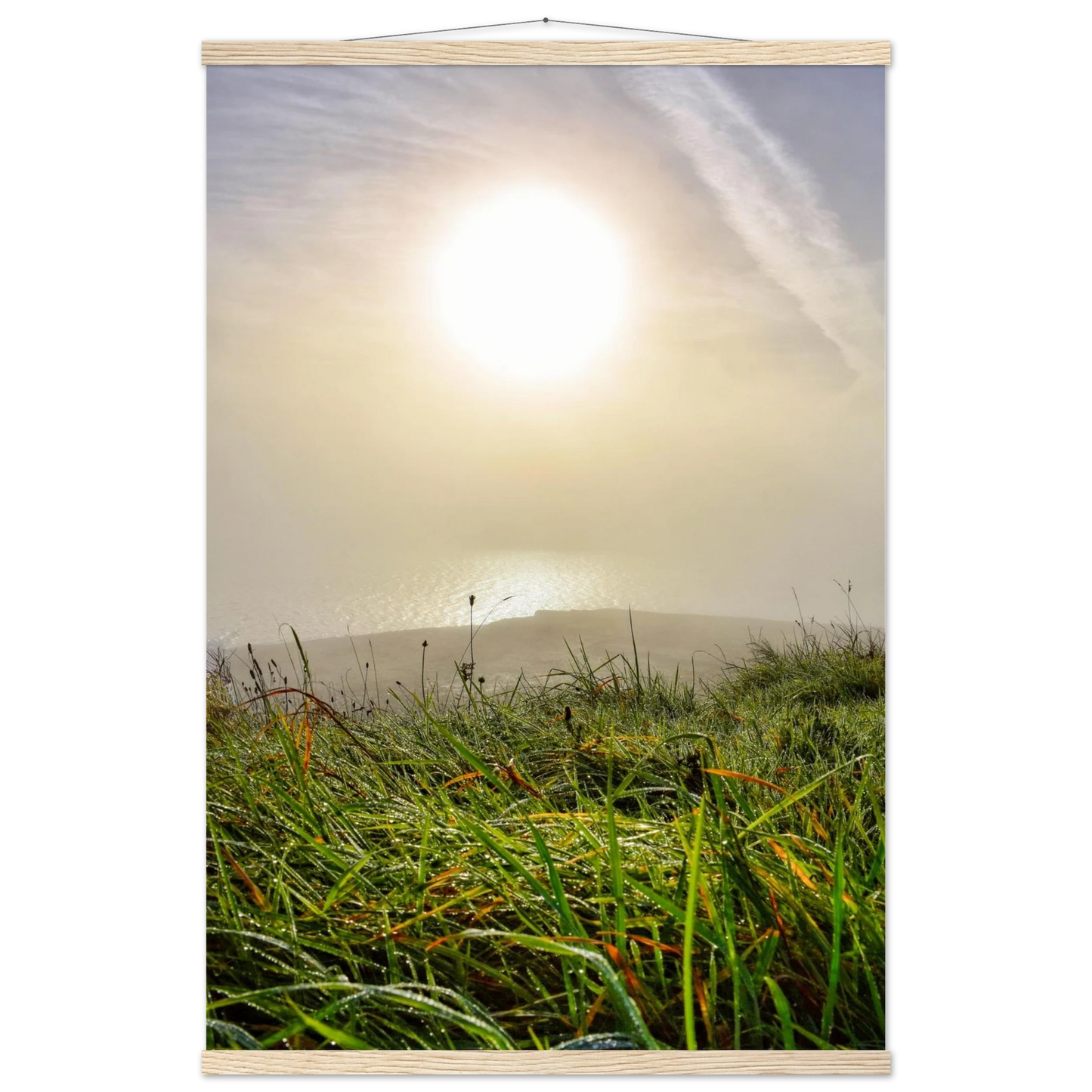 54d2d962-2529-45d8-977e-04cd219690da