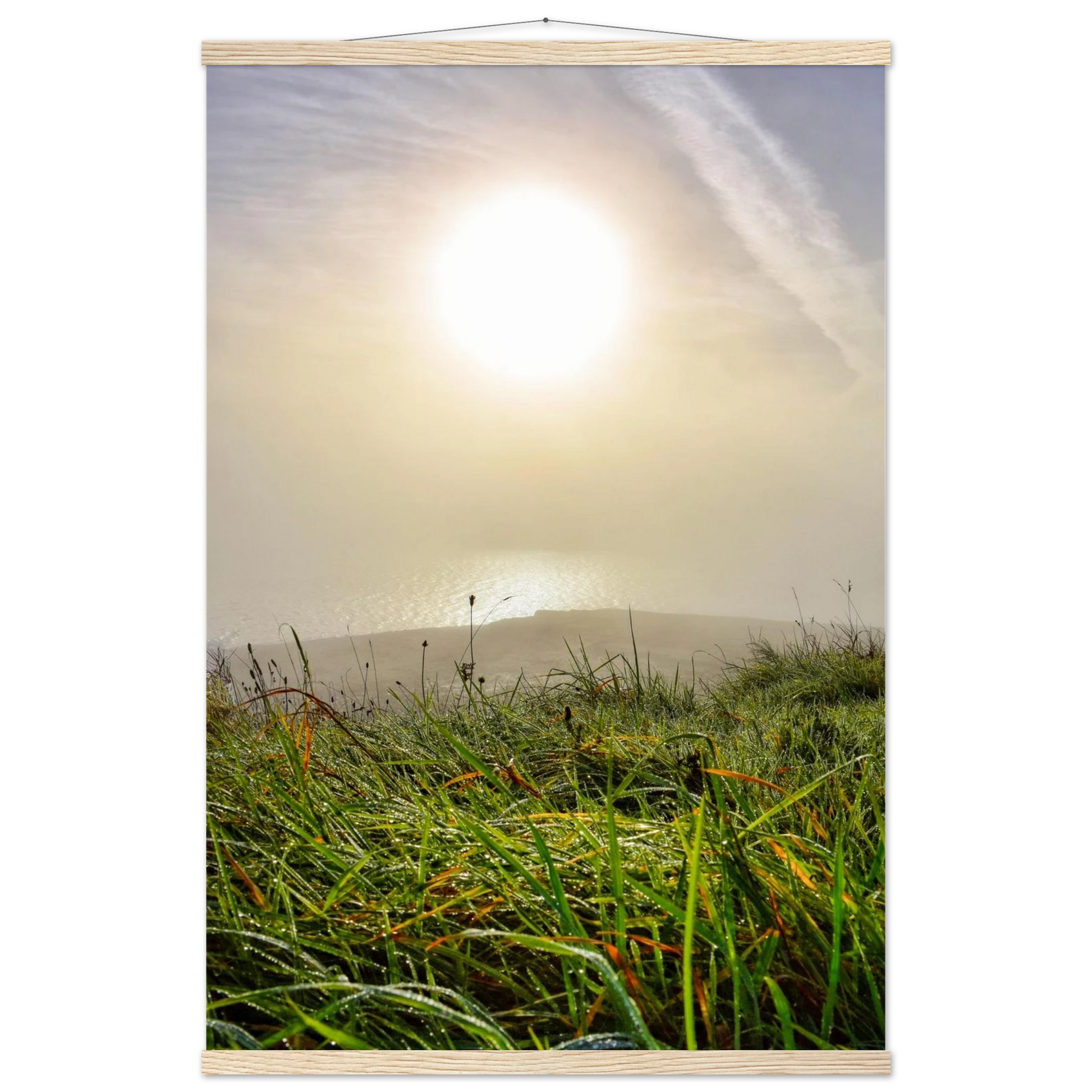 54d2d962-2529-45d8-977e-04cd219690da