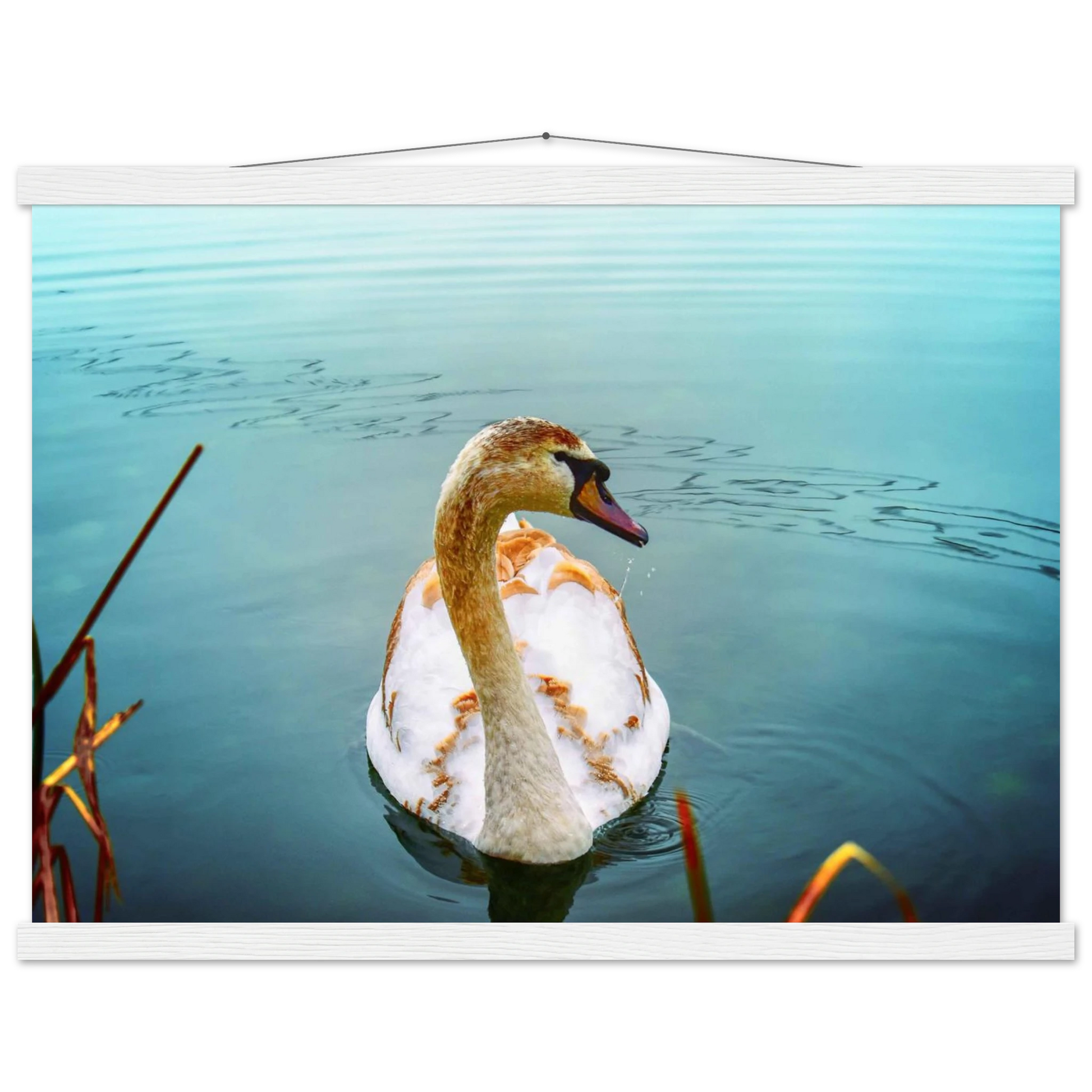 54fb315c-efa2-47ee-8a3b-233c80aa6a1b