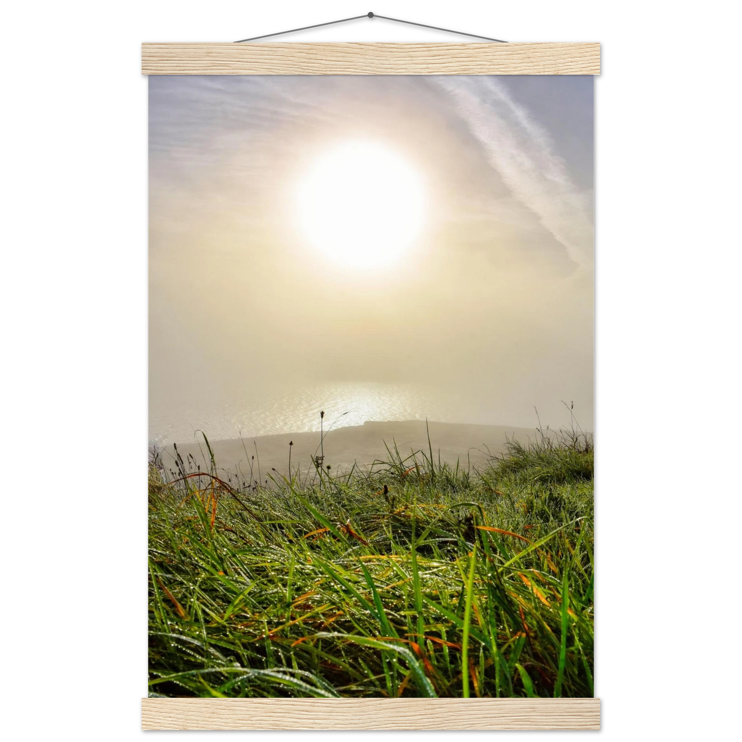 55232845-024e-4855-b396-6e986c48e11f