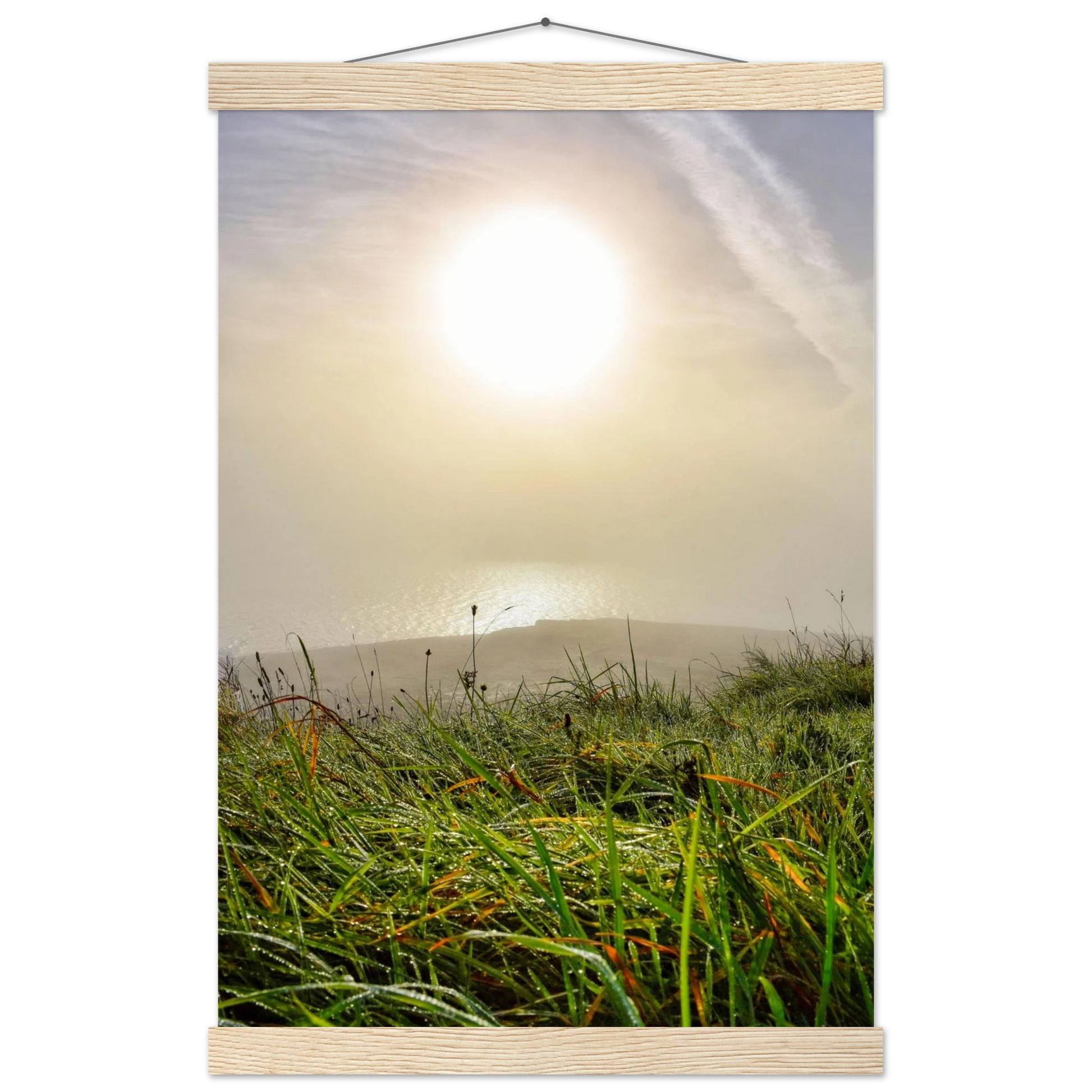 55232845-024e-4855-b396-6e986c48e11f