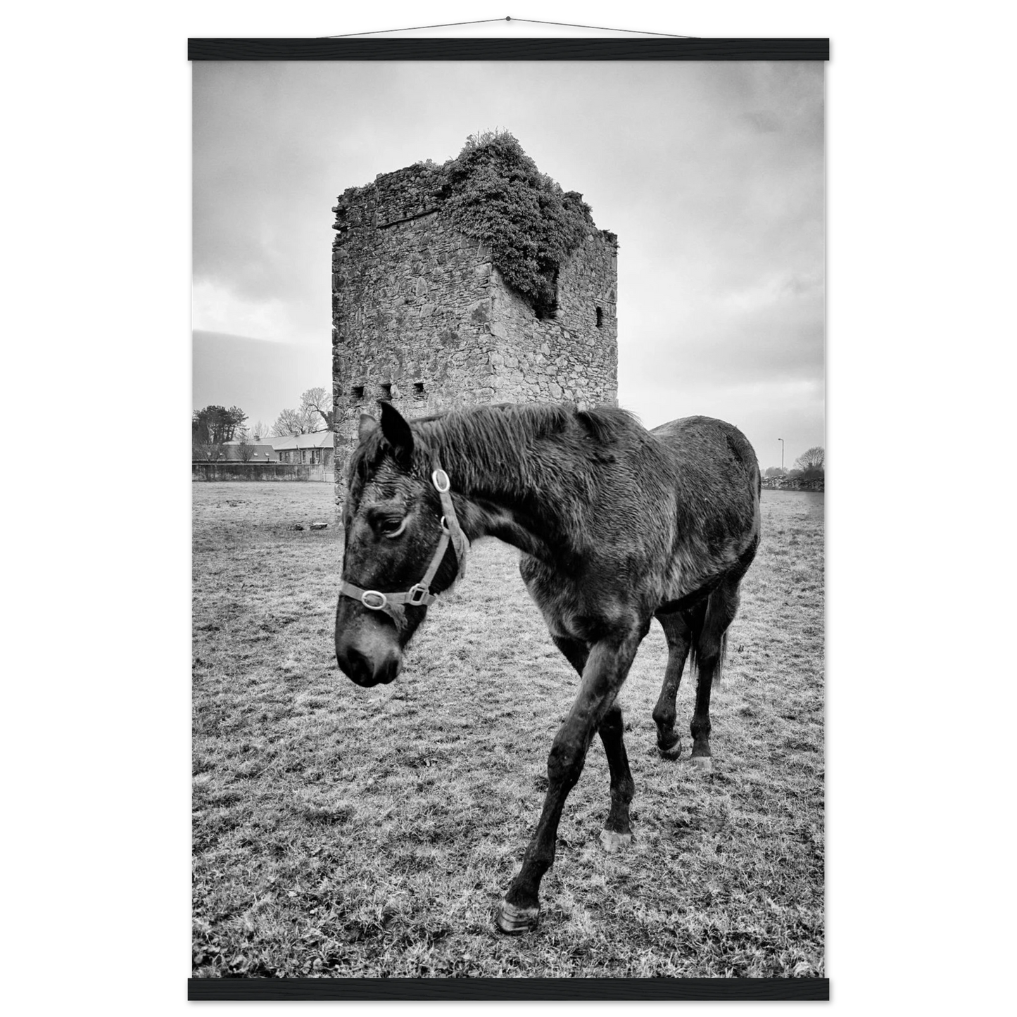 55fe5e89-c6f1-4cf6-80ff-3a4017e65b1d