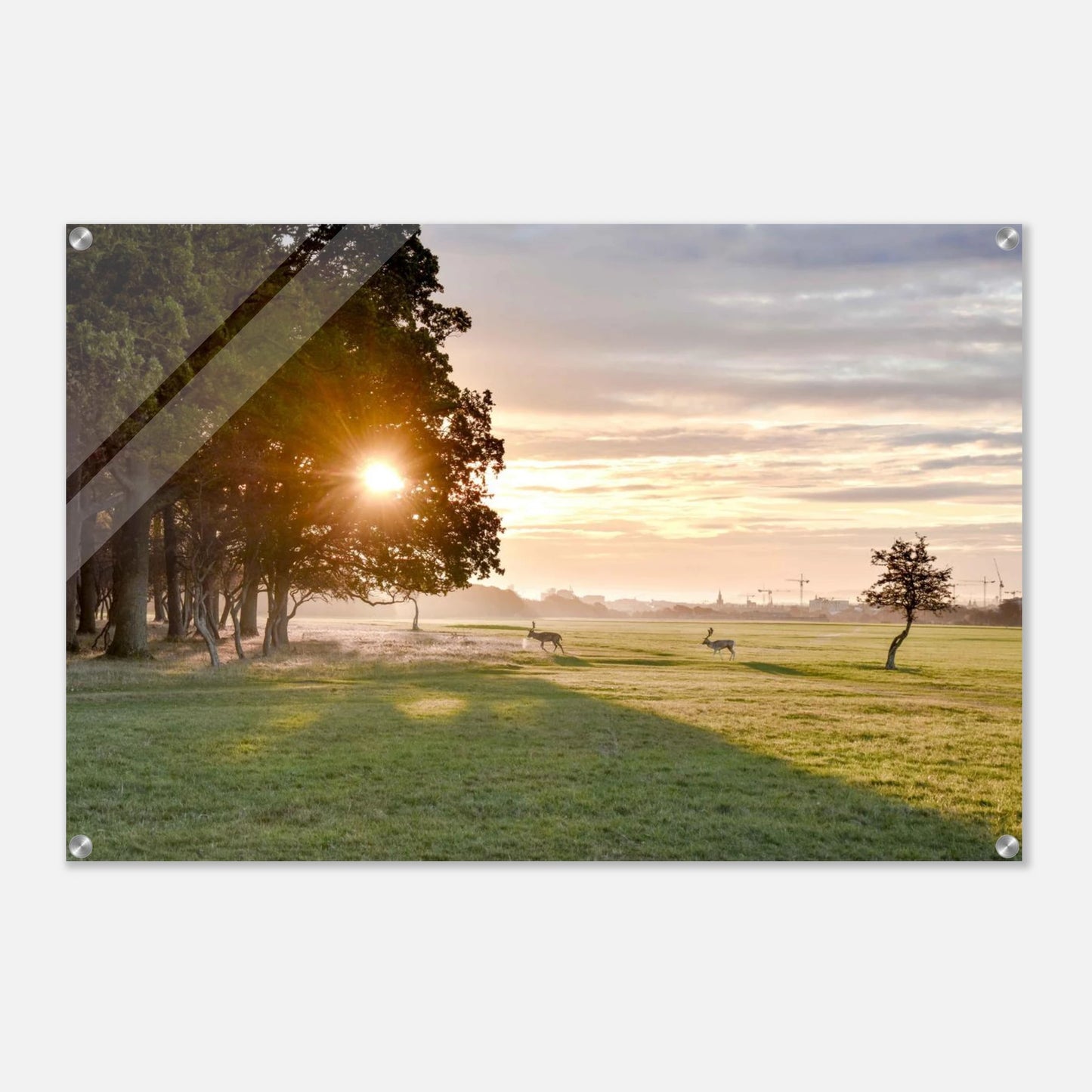 56290bfb-4ce7-457c-82fd-fcf6047e074e