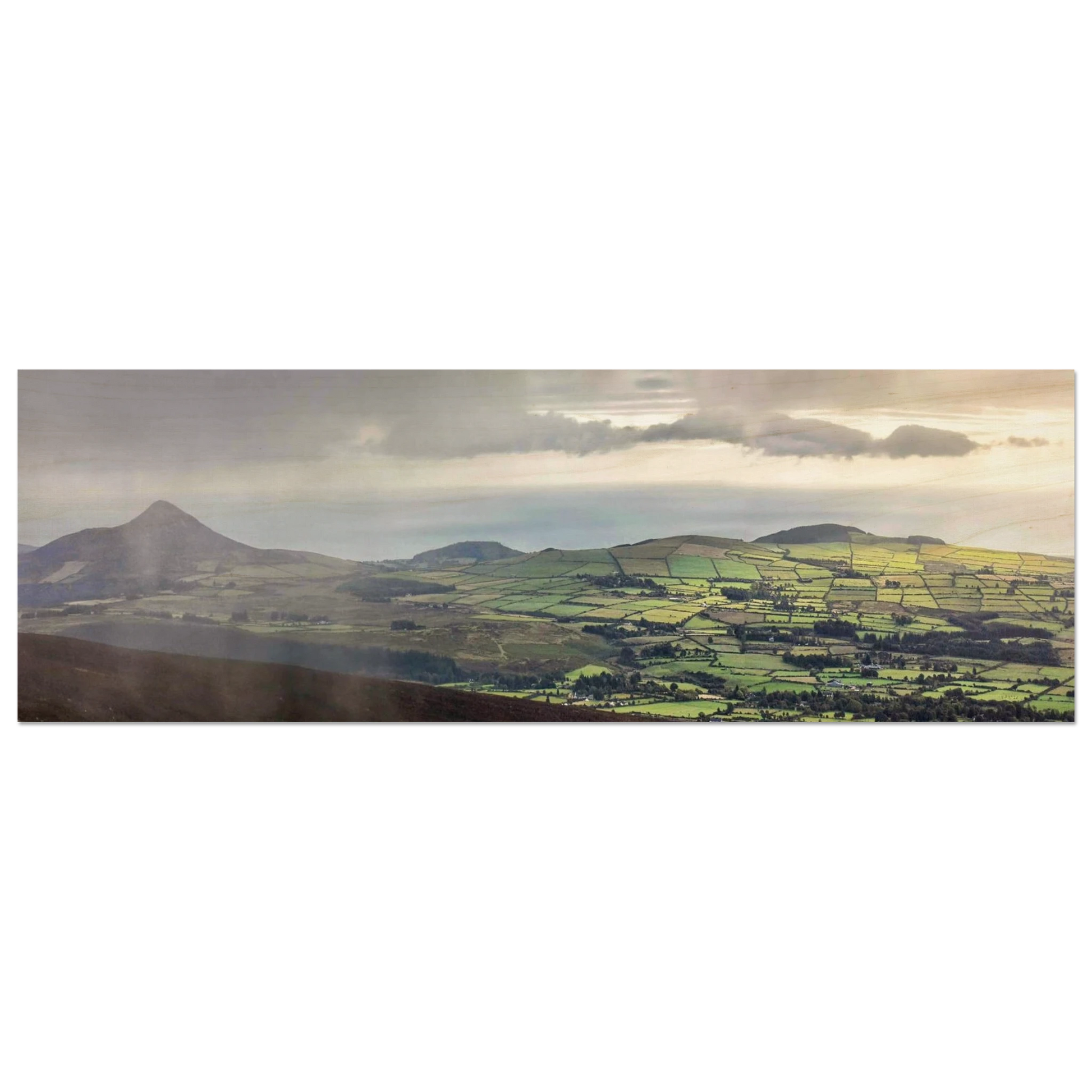 56587b28-48b7-4d0d-afc8-a3414f3a9181