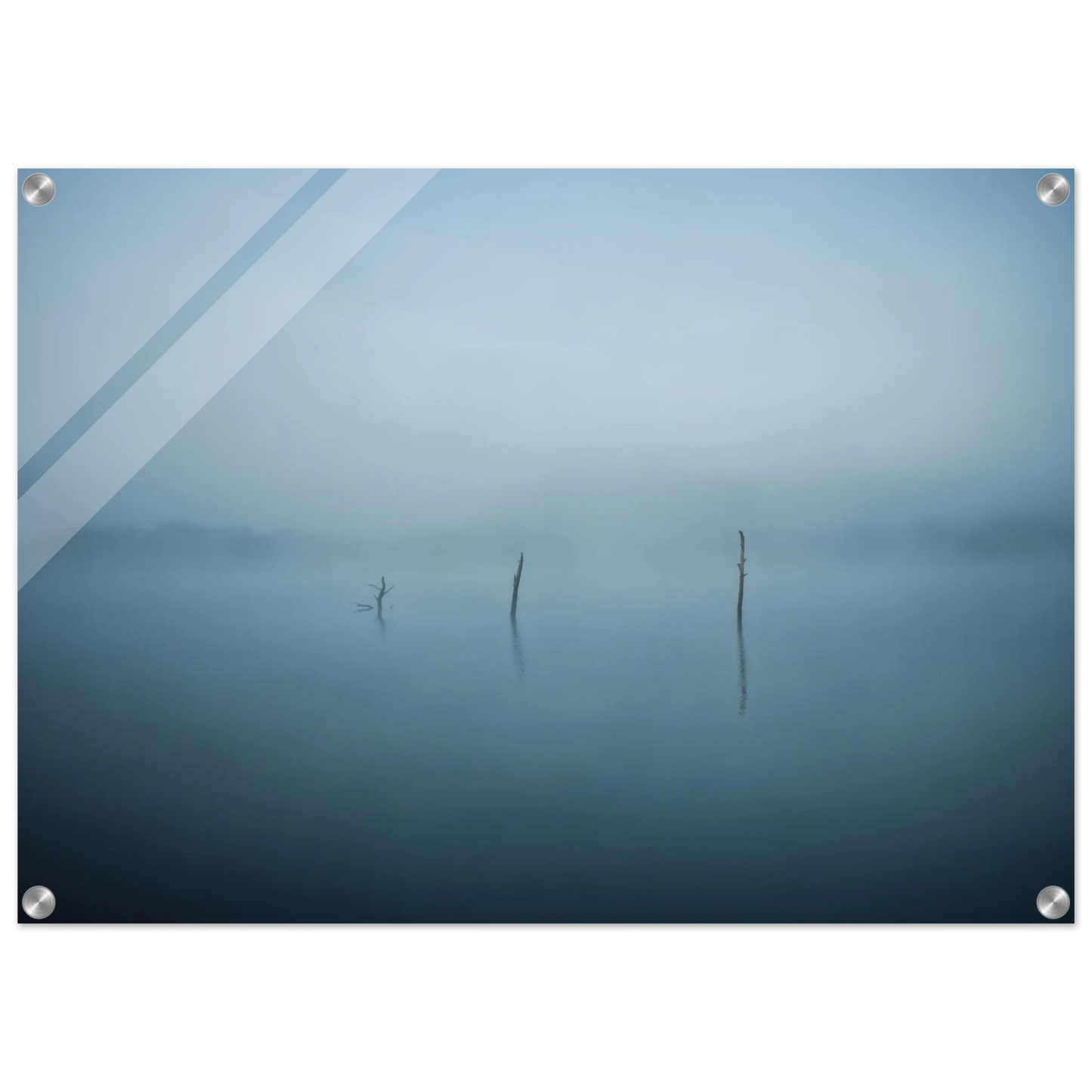 56d57d0d-706c-44a1-b455-422ebd615eff