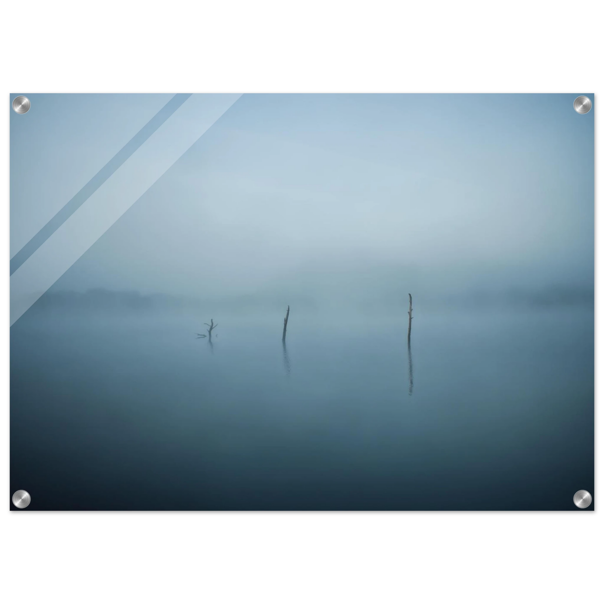 56d57d0d-706c-44a1-b455-422ebd615eff