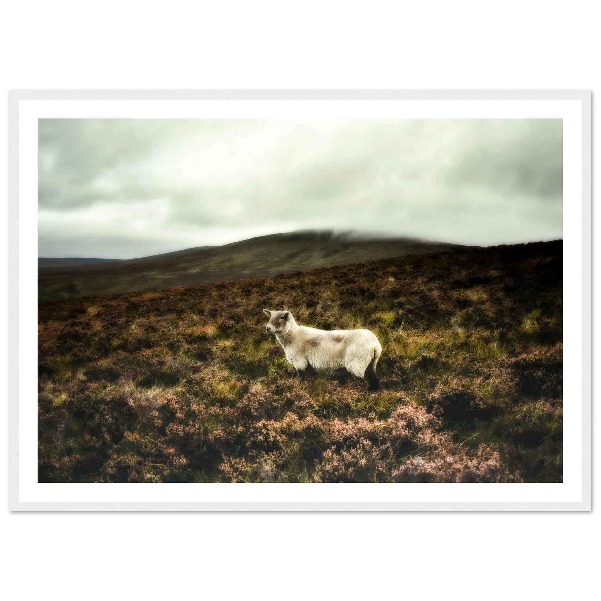 5707a320-370c-4e70-abd8-10245fad0eec