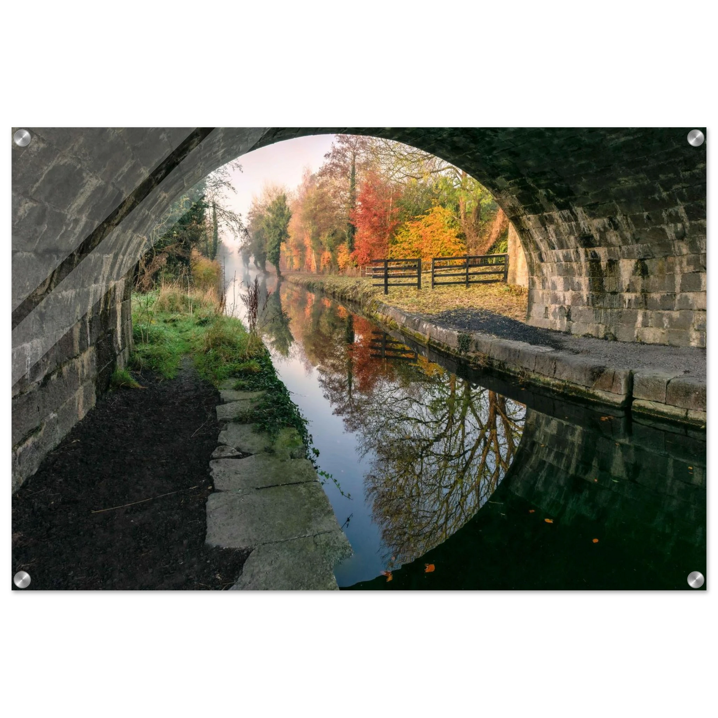 57234995-f3e5-415f-baf7-4b43423973e0