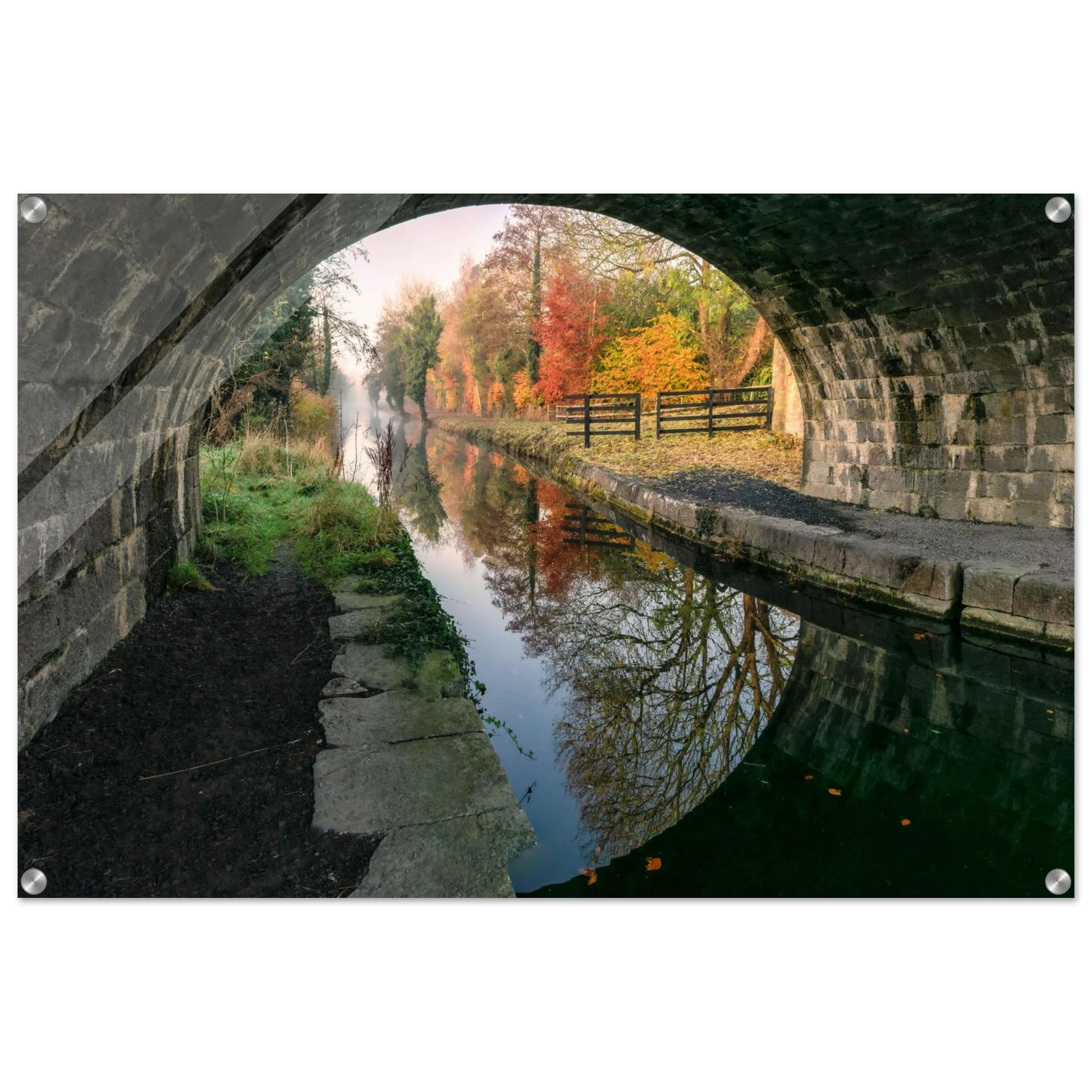 57234995-f3e5-415f-baf7-4b43423973e0