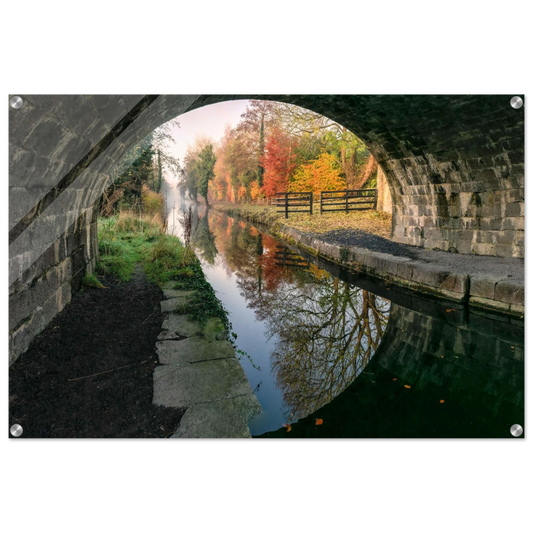 57234995-f3e5-415f-baf7-4b43423973e0