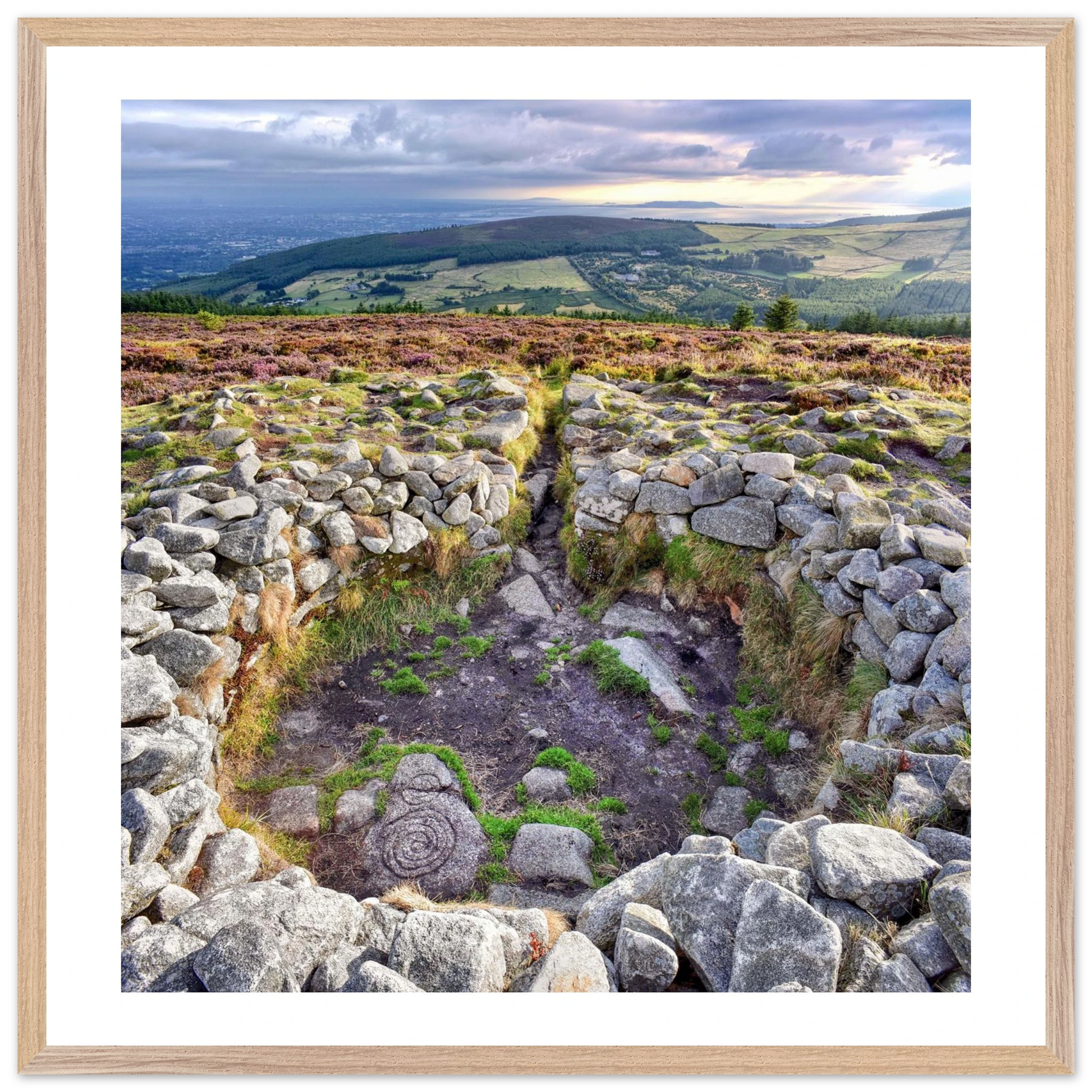 573d2c4d-c070-4cb0-80b3-03a7af0a4ed4