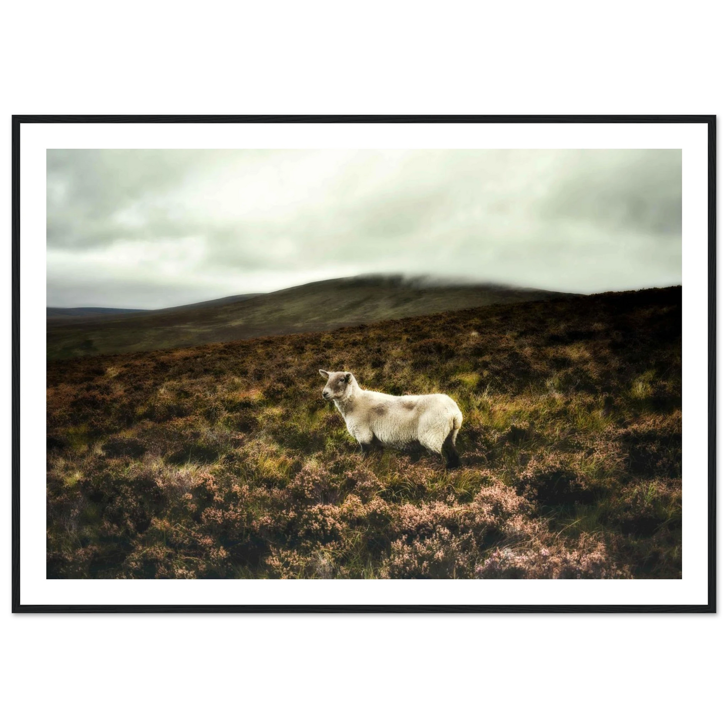 579516a9-0489-4187-af20-755868d11965