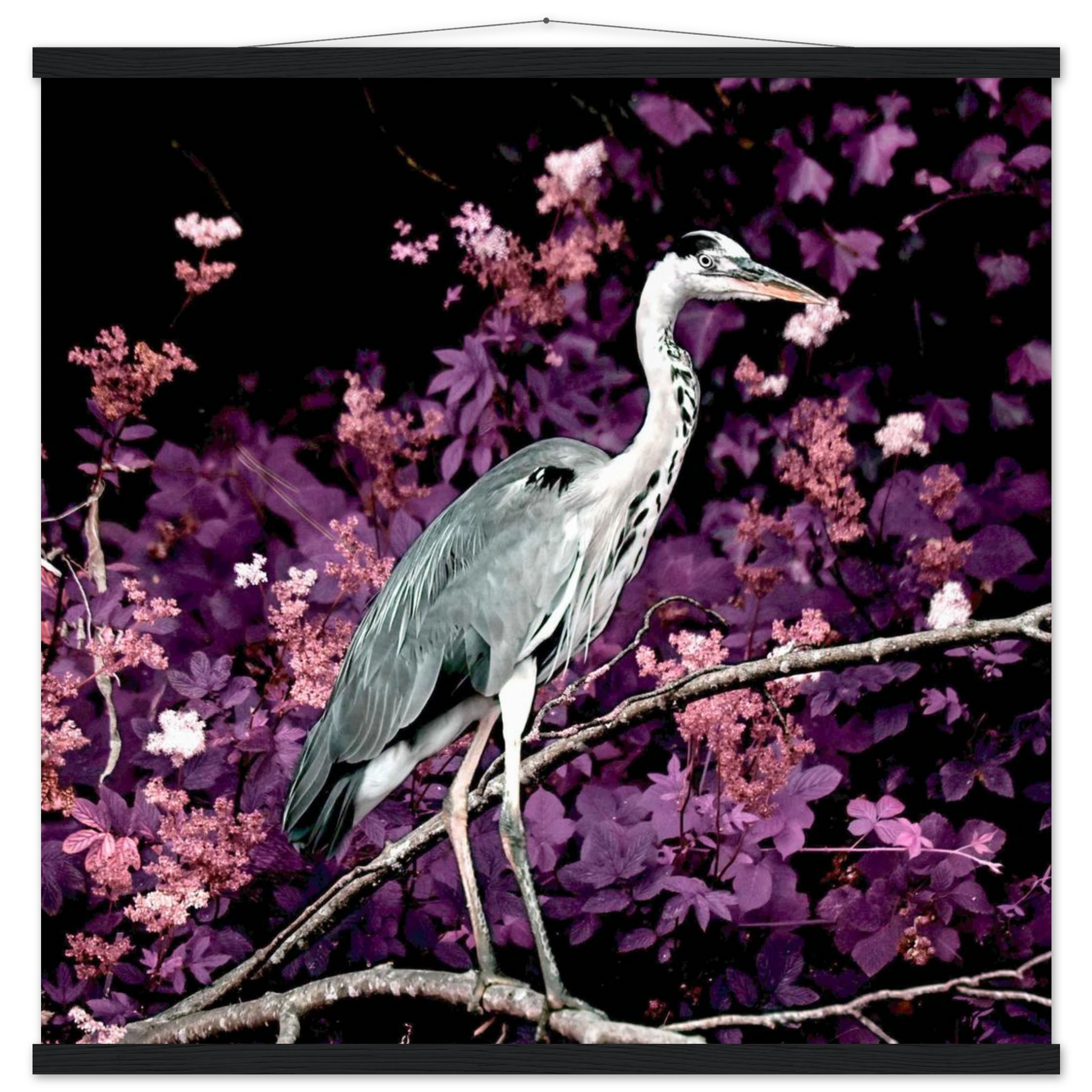 58186e1a-49d4-43b4-ab30-3ac2f1e8d60f