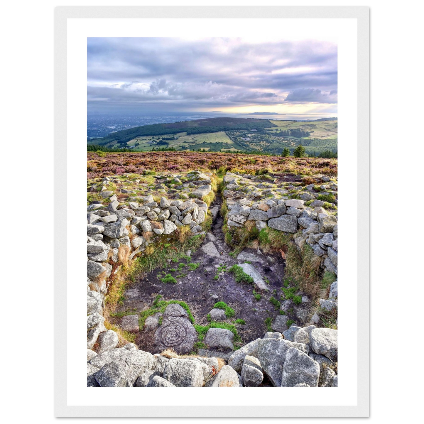 58312cfd-fb14-4f96-a25f-b130729784af