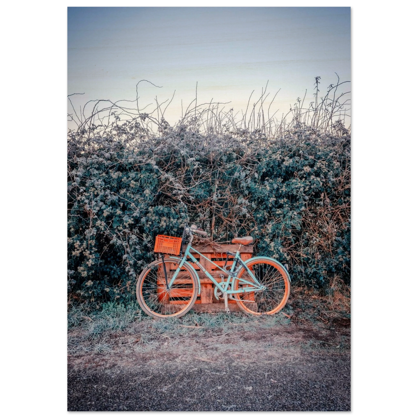 583d9d68-06ae-43b5-91fd-e0ee9a5fe7b8