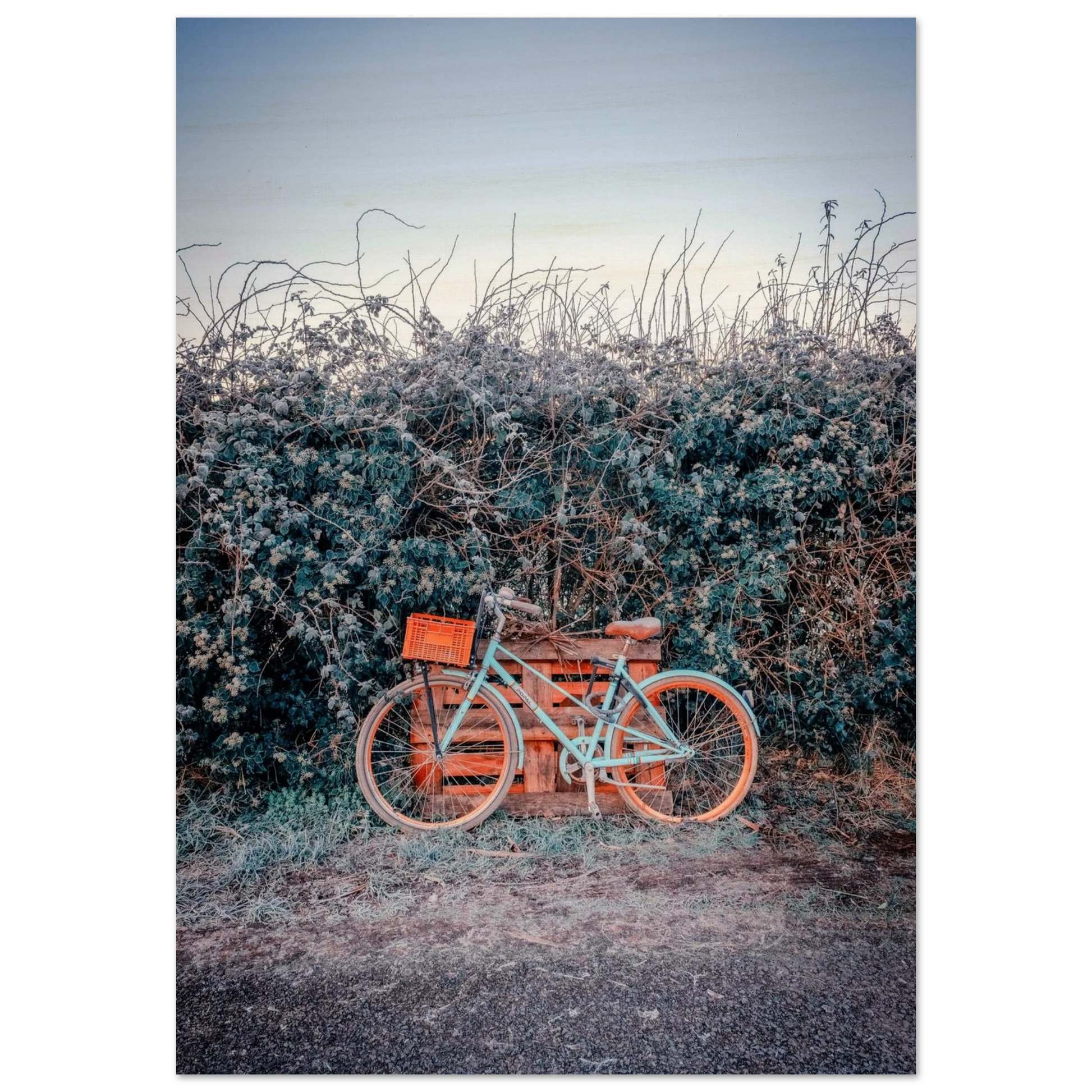 583d9d68-06ae-43b5-91fd-e0ee9a5fe7b8