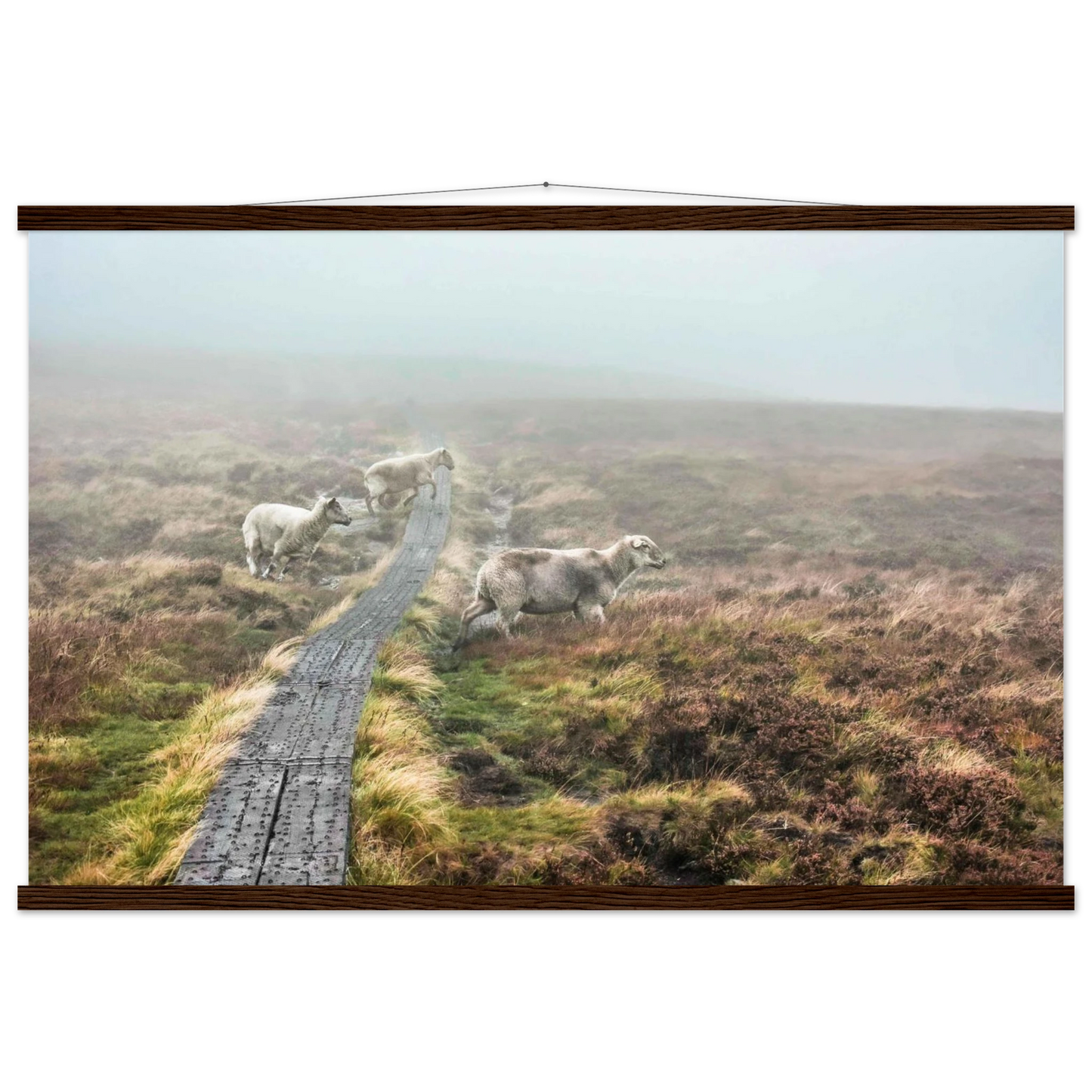 586d0f3e-2e48-40c2-8a22-06a0123b7945