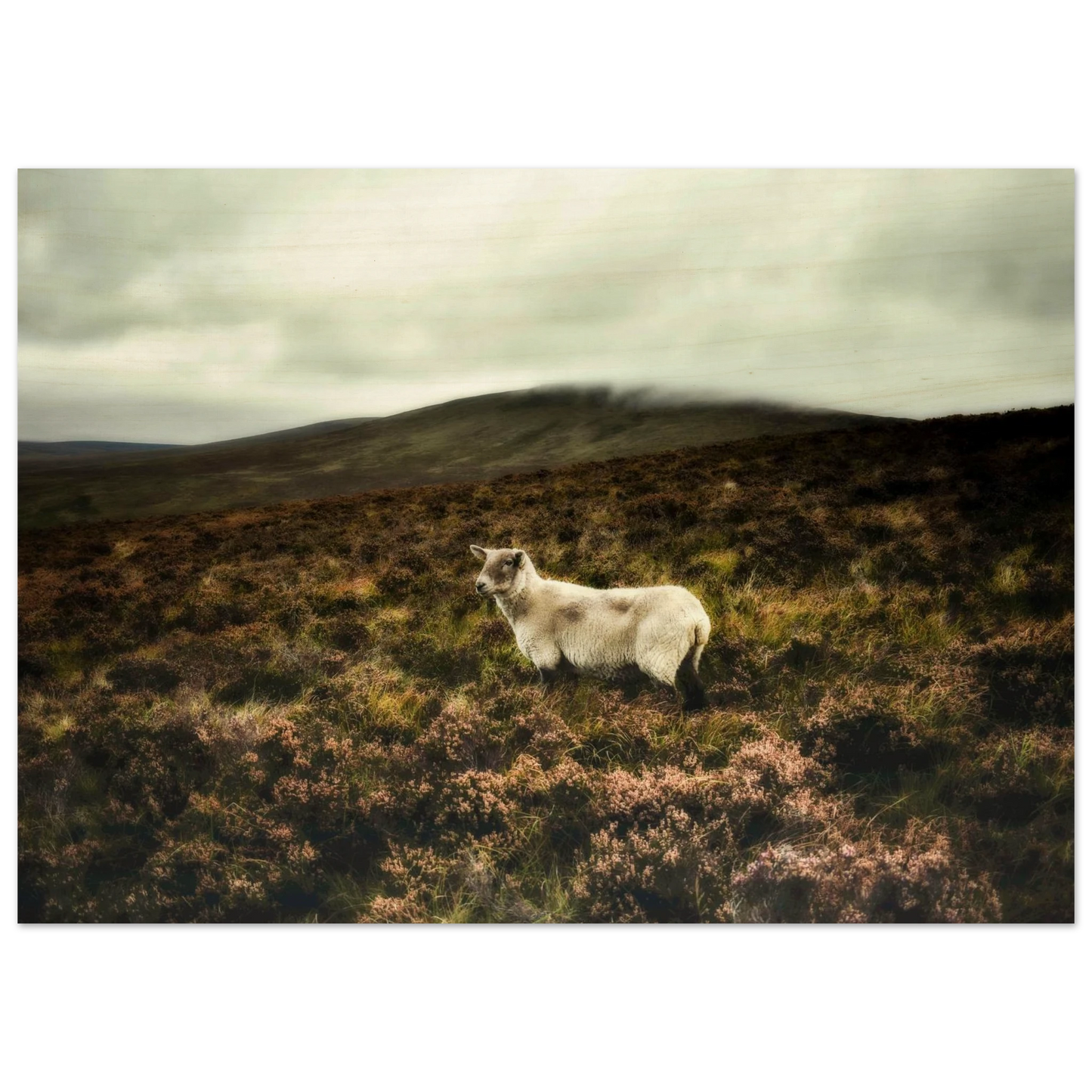 58891faf-291c-4e30-b96b-6b83b23e1f4f