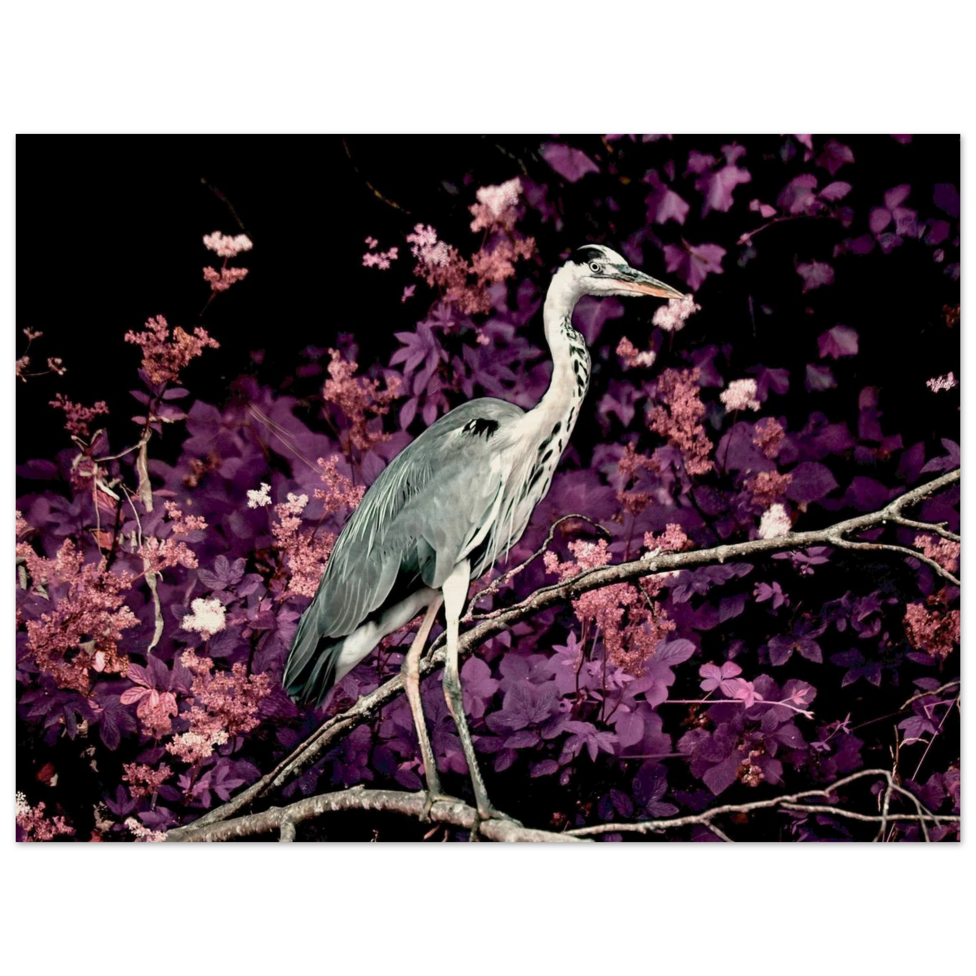 58a855da-2949-476f-95b5-ff2c9583adf1