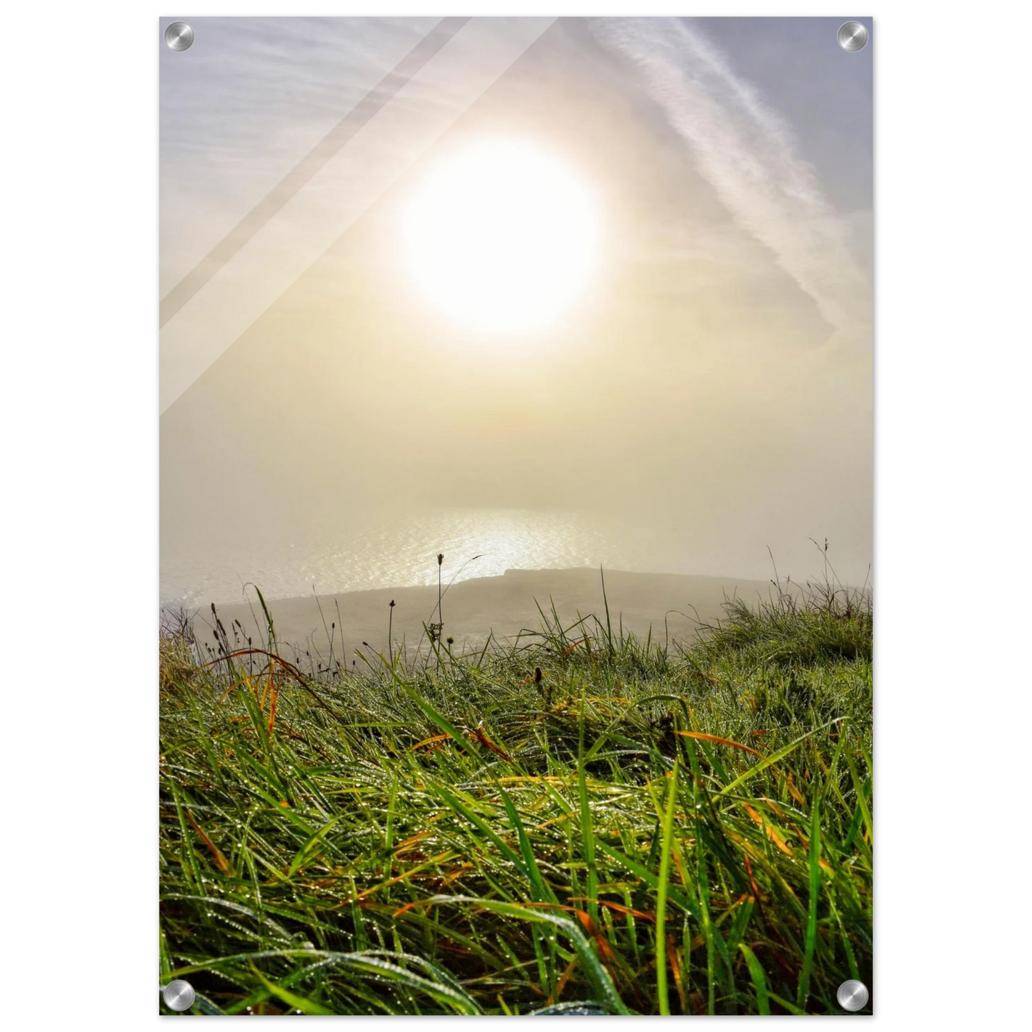 58ab7587-4d7a-4284-864f-1064c593e296