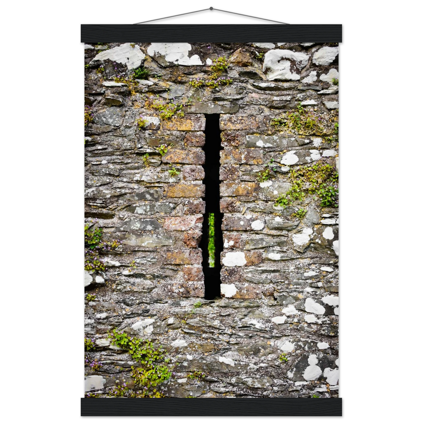 58da6698-de08-4588-ac37-836a1cfe69bf