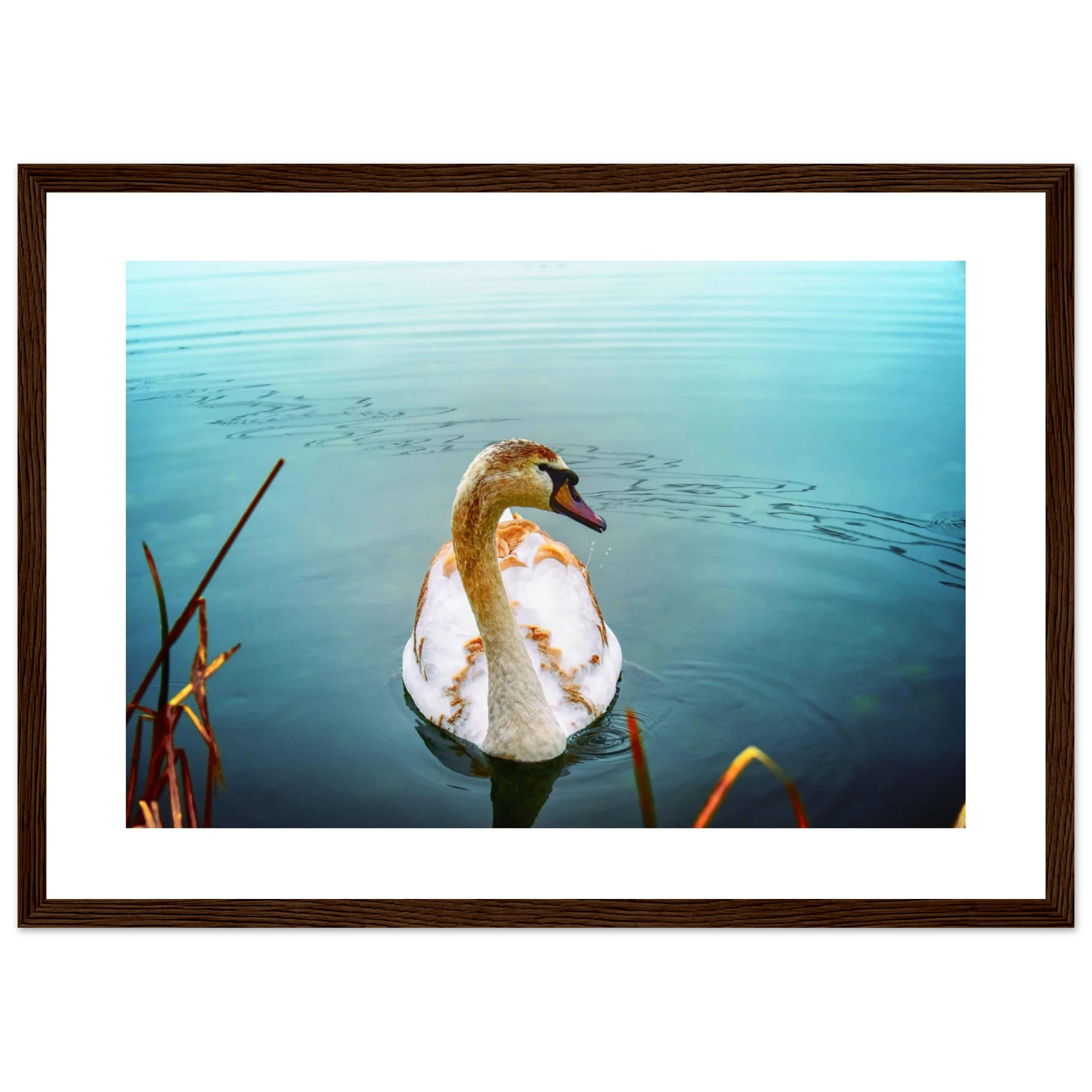 5911f480-2c6d-44fc-9656-592782c3aeb1