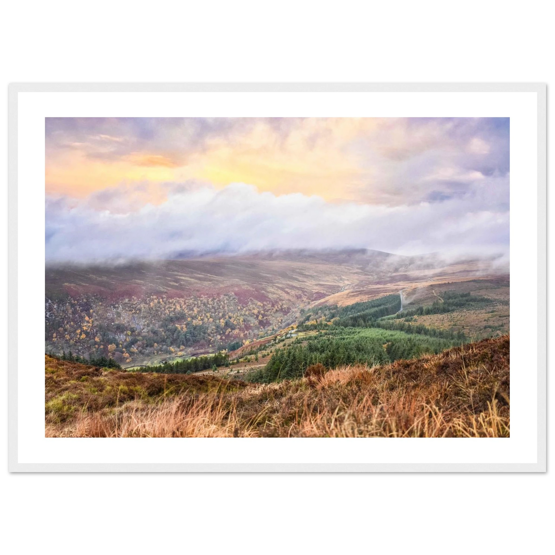 59228020-e077-4015-bb42-a257d03f0039