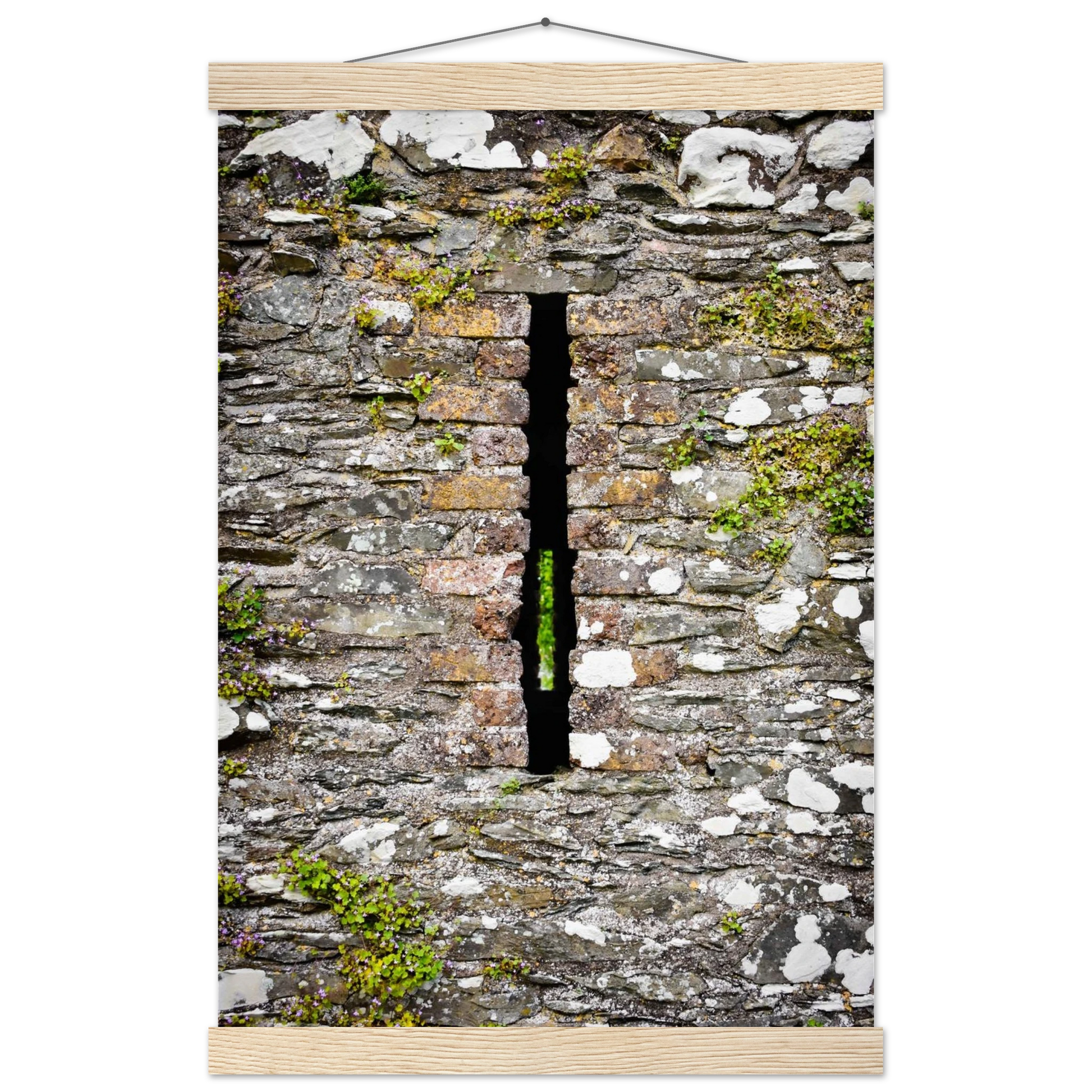 592a485d-6beb-4885-87e7-ab50d8c8be6e