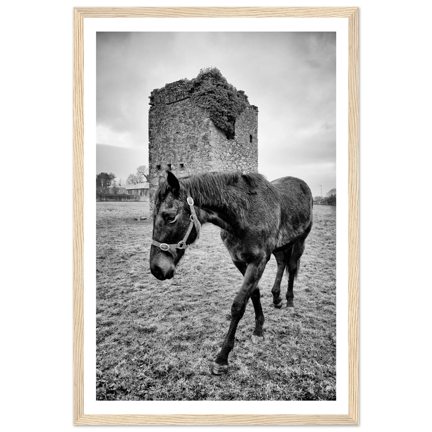 5930e962-da75-498b-8f7b-cf05d2e58cb4